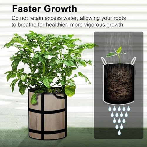 6PK 10 Gallon Potato Grow Bags – Heavy Duty Nonwoven Garden Pots w/ Viewing Wind