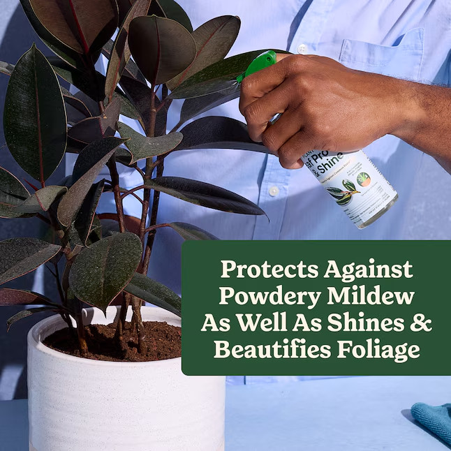 Miracle-Gro -fl oz Plant Care Leaf Protect Shine Leaf shine