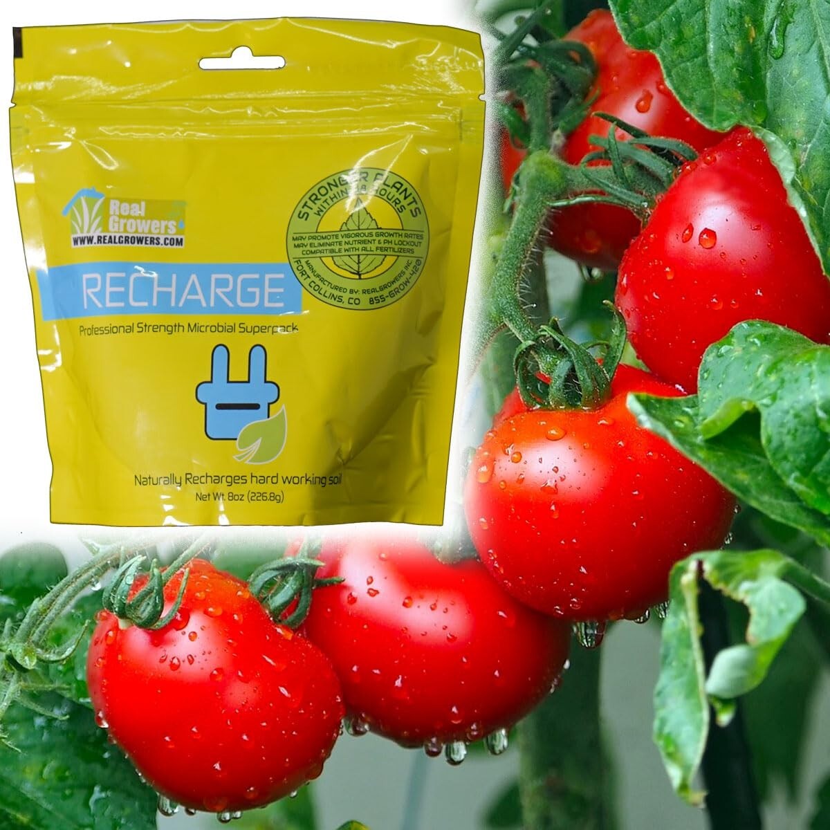 Recharge Your Plants with 16oz Instant Compost Tea – Boosts Yields & Root Health