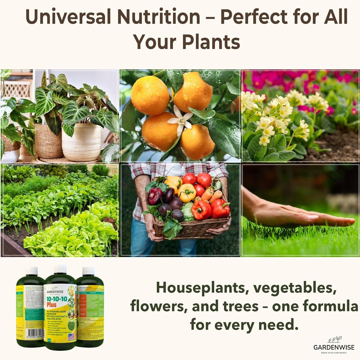 Versatile 10-10-10 Liquid Fertilizer with 6% Iron – Indoor & Outdoor Use, 32 Oz