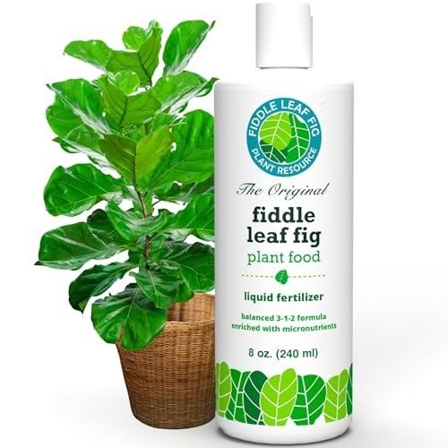 Liquid Fertilizer 8 oz 3-1-2 NPK for Ficus Lyrata Audrey Plant Food Nourishment