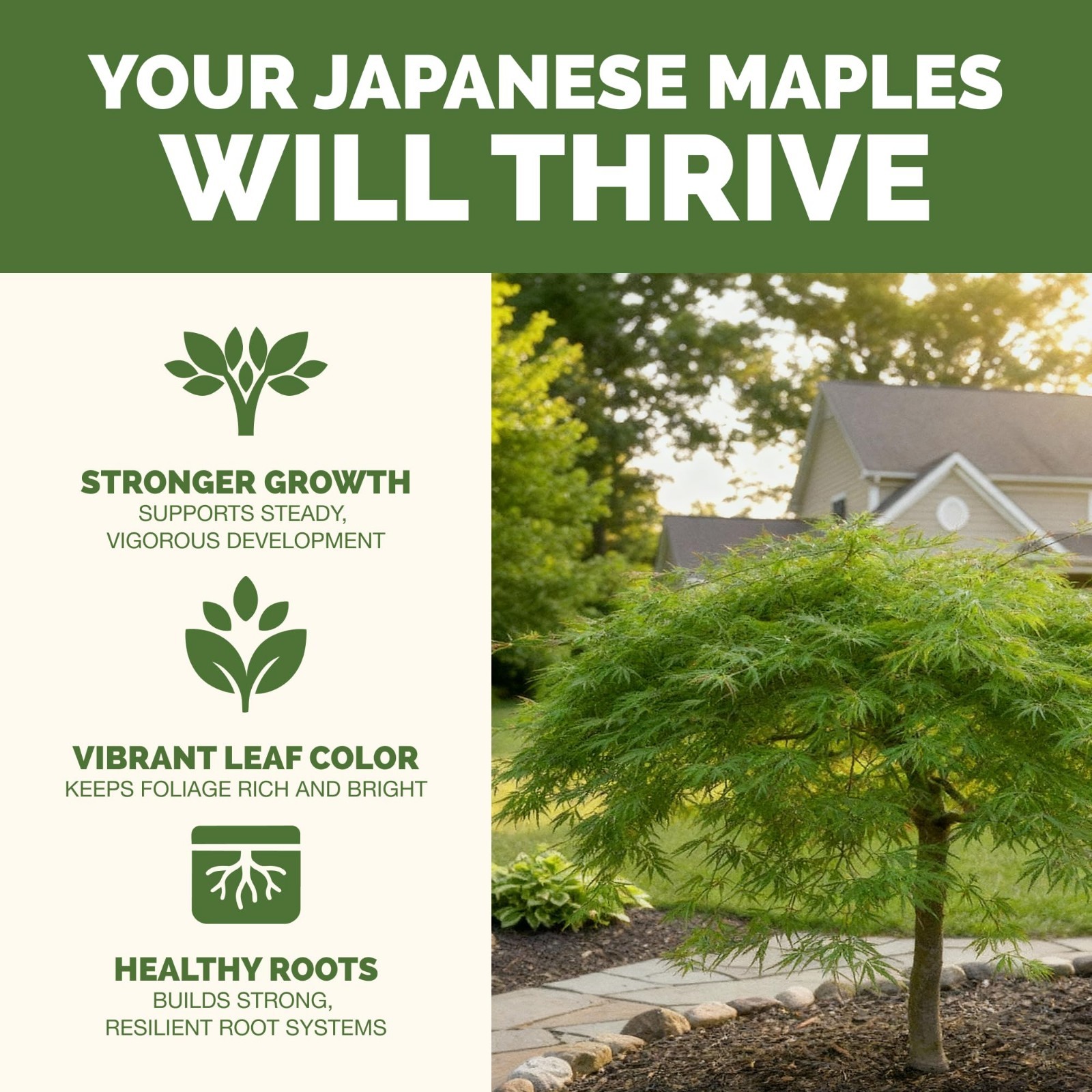 Liquid Fertilizer for Japanese Maple Trees – Vibrant Color Plant Food, 1 Gallon