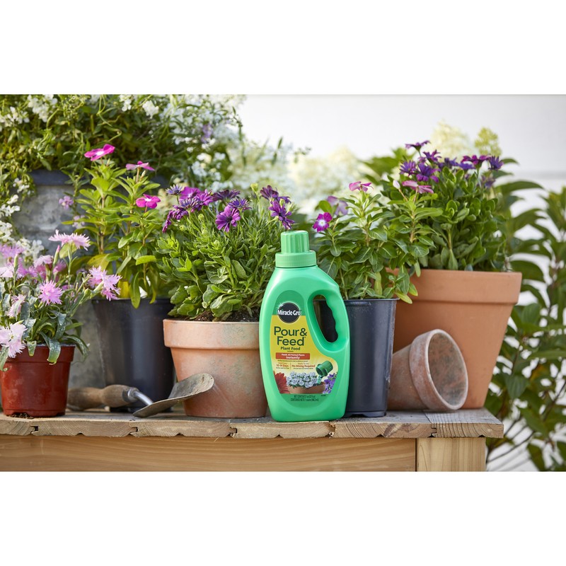 Miracle-Gro Pour & Feed Liquid Plant Food 32 oz (Pack of 3)