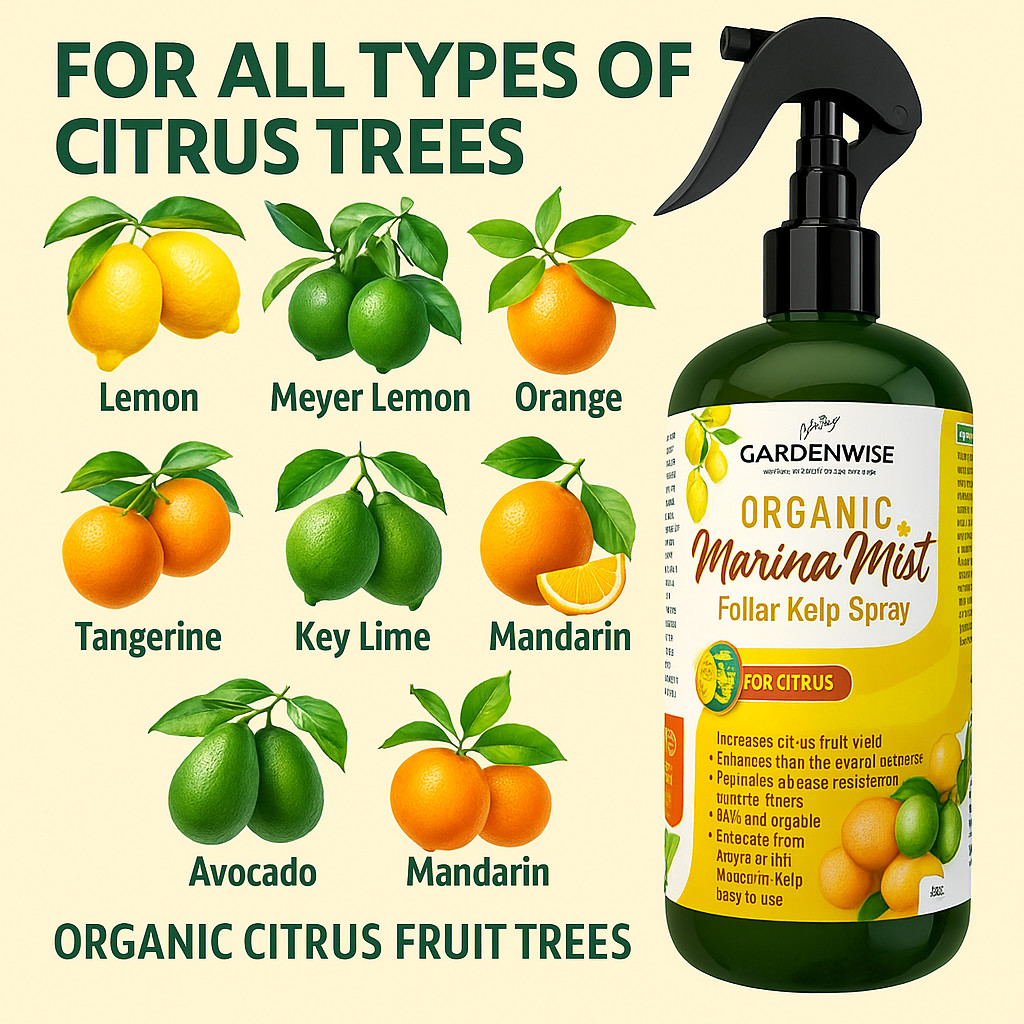 Organic Citrus Foliar Kelp Spray | Liquid Fruit Tree Plant Food Growth 8–16oz