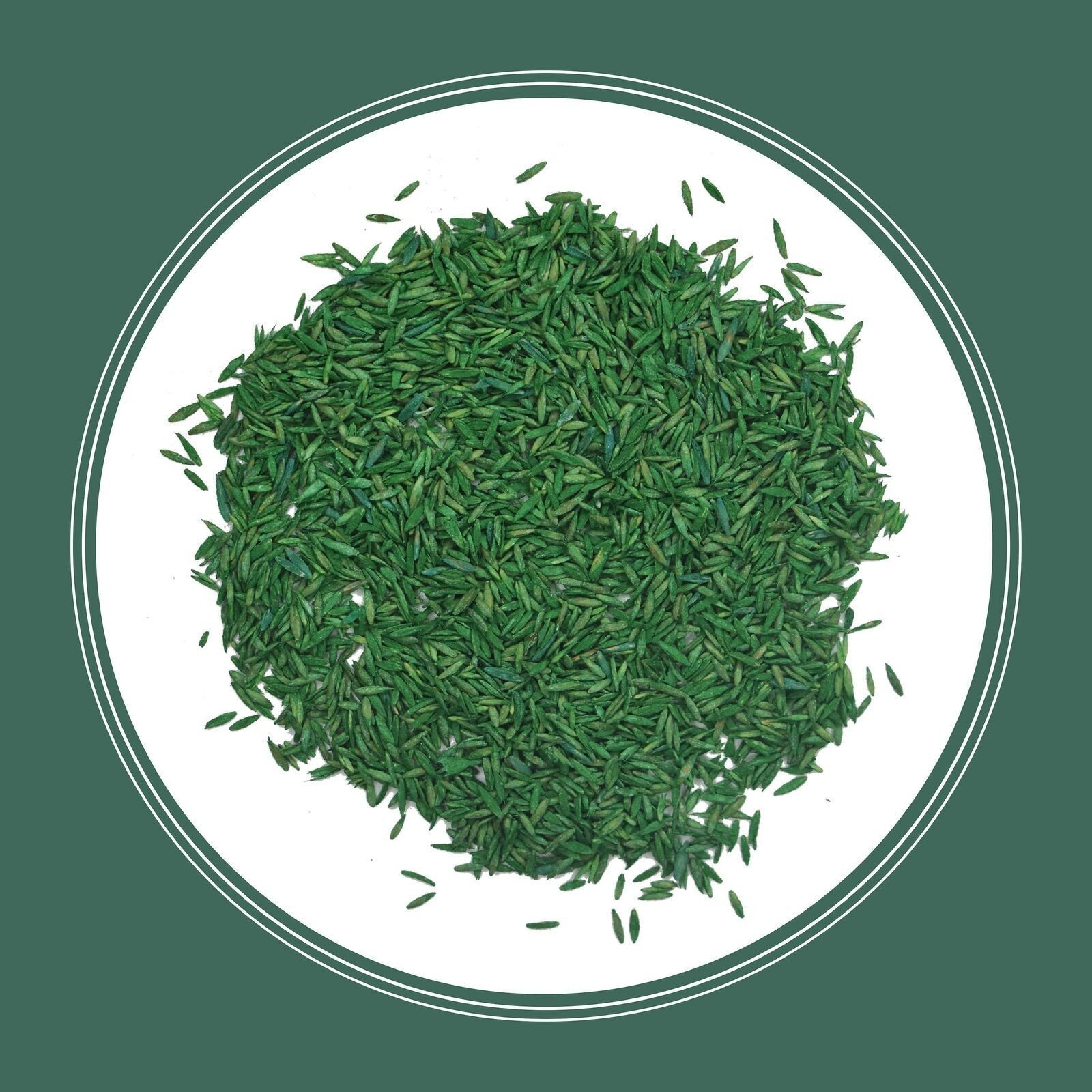 31 Tall Fescue Grass Seed for Sun to Partial Shade 20 lb Covers 4,000 sq. ft.