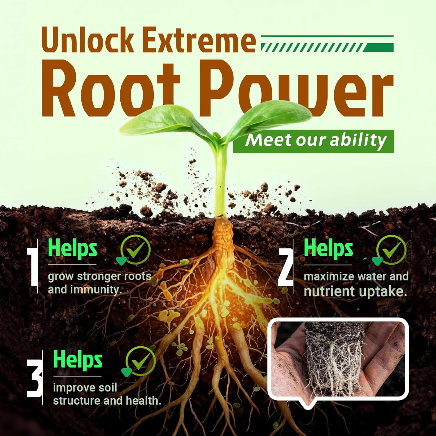 Mycorrhizal Fungi Inoculant 10X Concentrated Organic Fertilizer up to 700 Plants