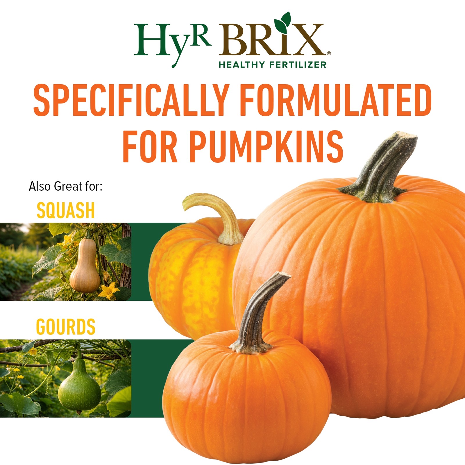HyR BRIX 8-6-12 Pumpkin Fertilizer Plant Food, 45lb Bag (Covers 2,142 Sq Ft)