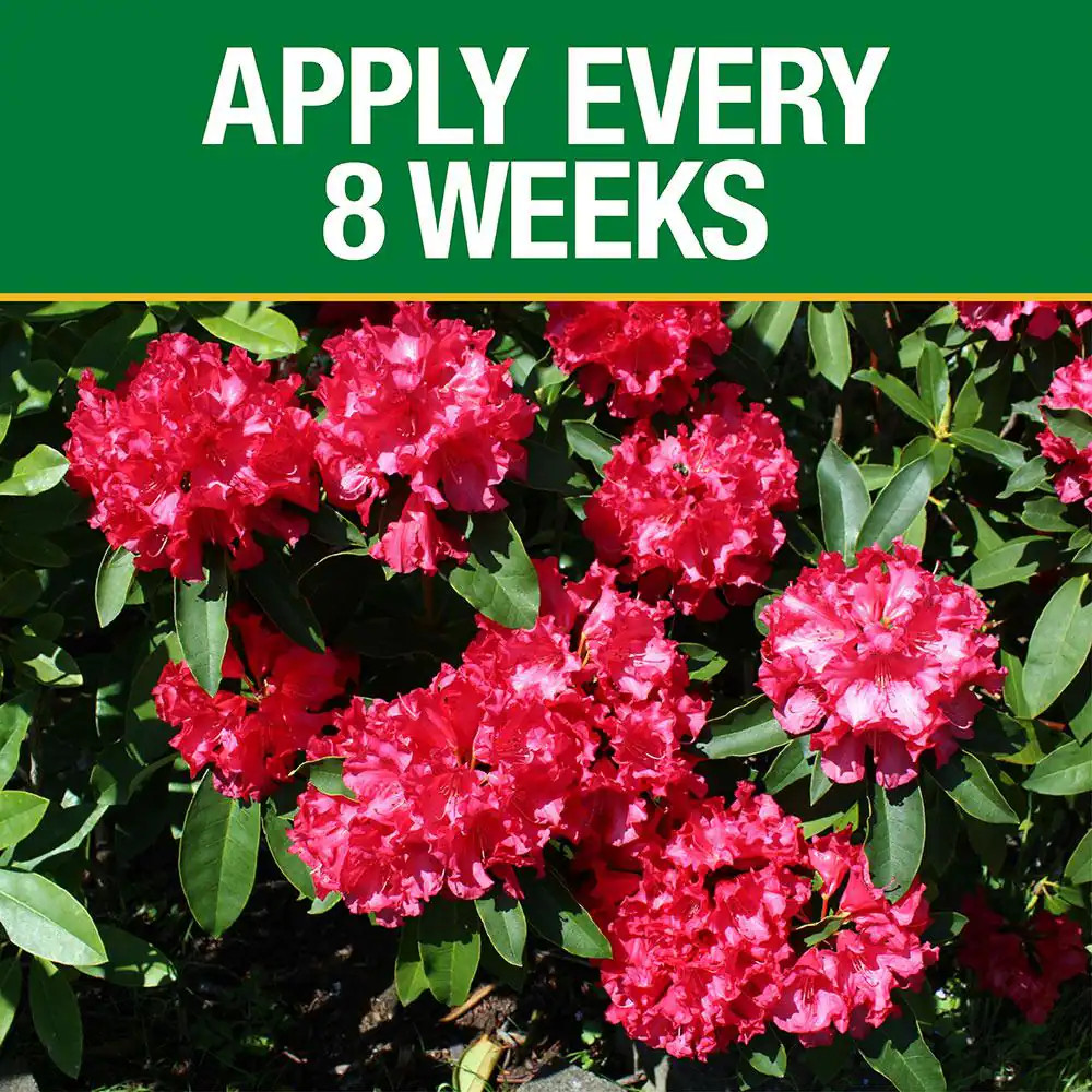 3.5 lb. All Season Azalea Camellia and Rhododendron Plant Food (10-8-8)
