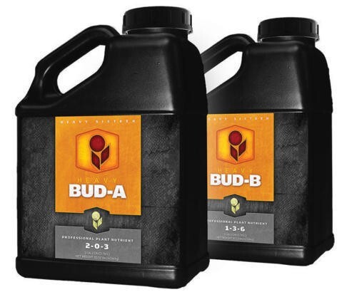 Heavy 16 Bud A & Bud B / quart (2pc Set)