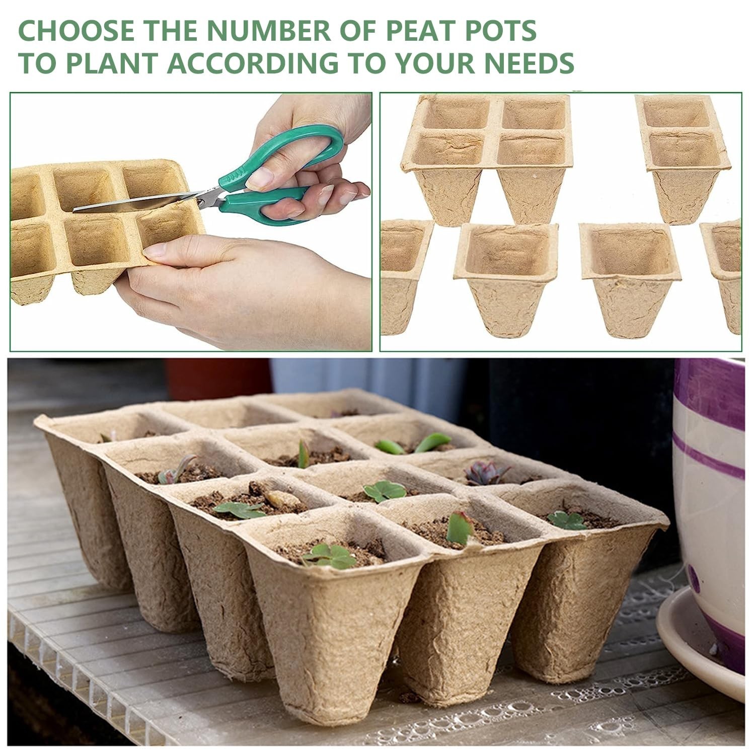 120 Cells Seed Starter Tray, 10 Pack Biodegradable Peat Pots with 100 Labels,…