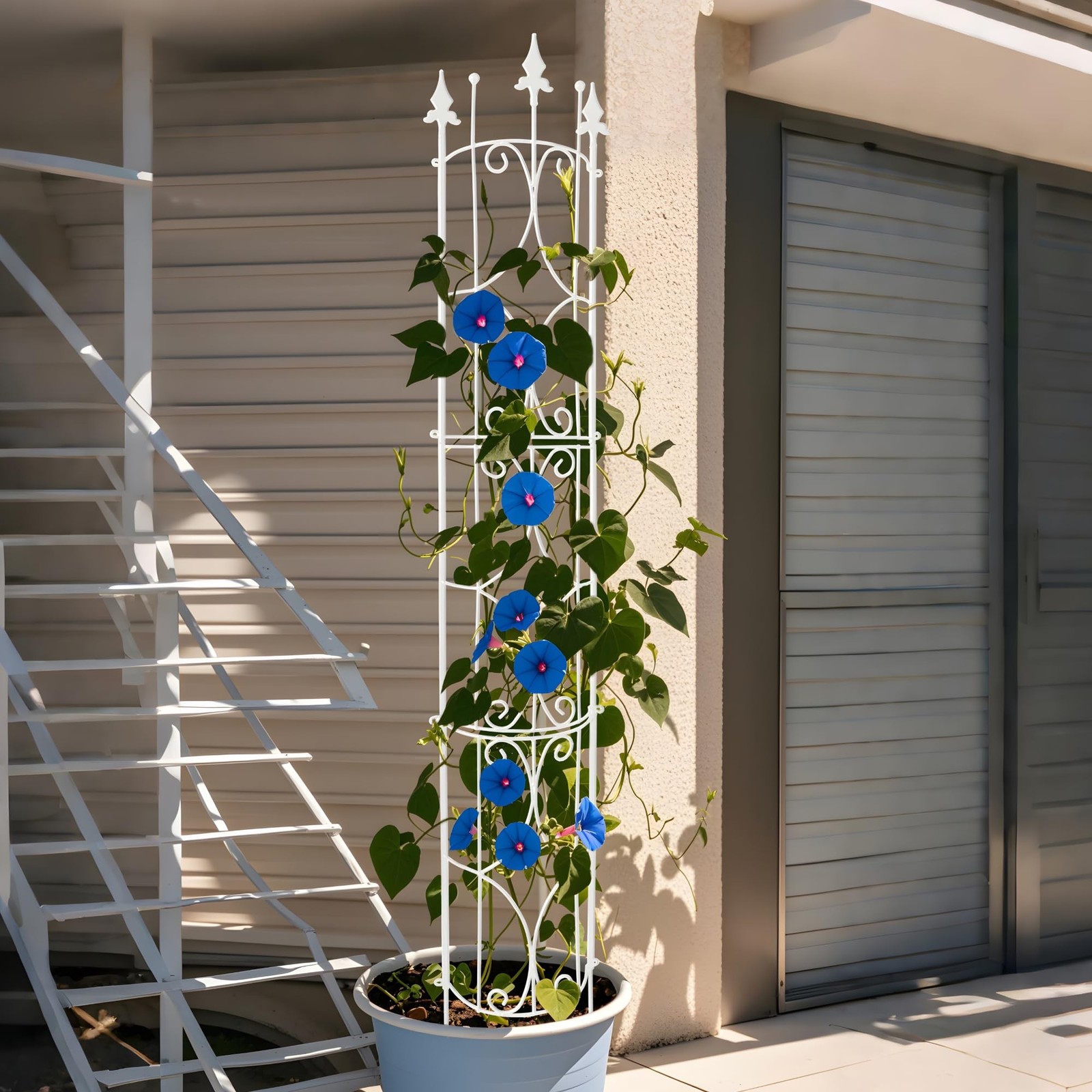 Thealyn Garden Trellis 2 Pack 72” H x 12” W Metal Plant Trellis Indoor/Outd…
