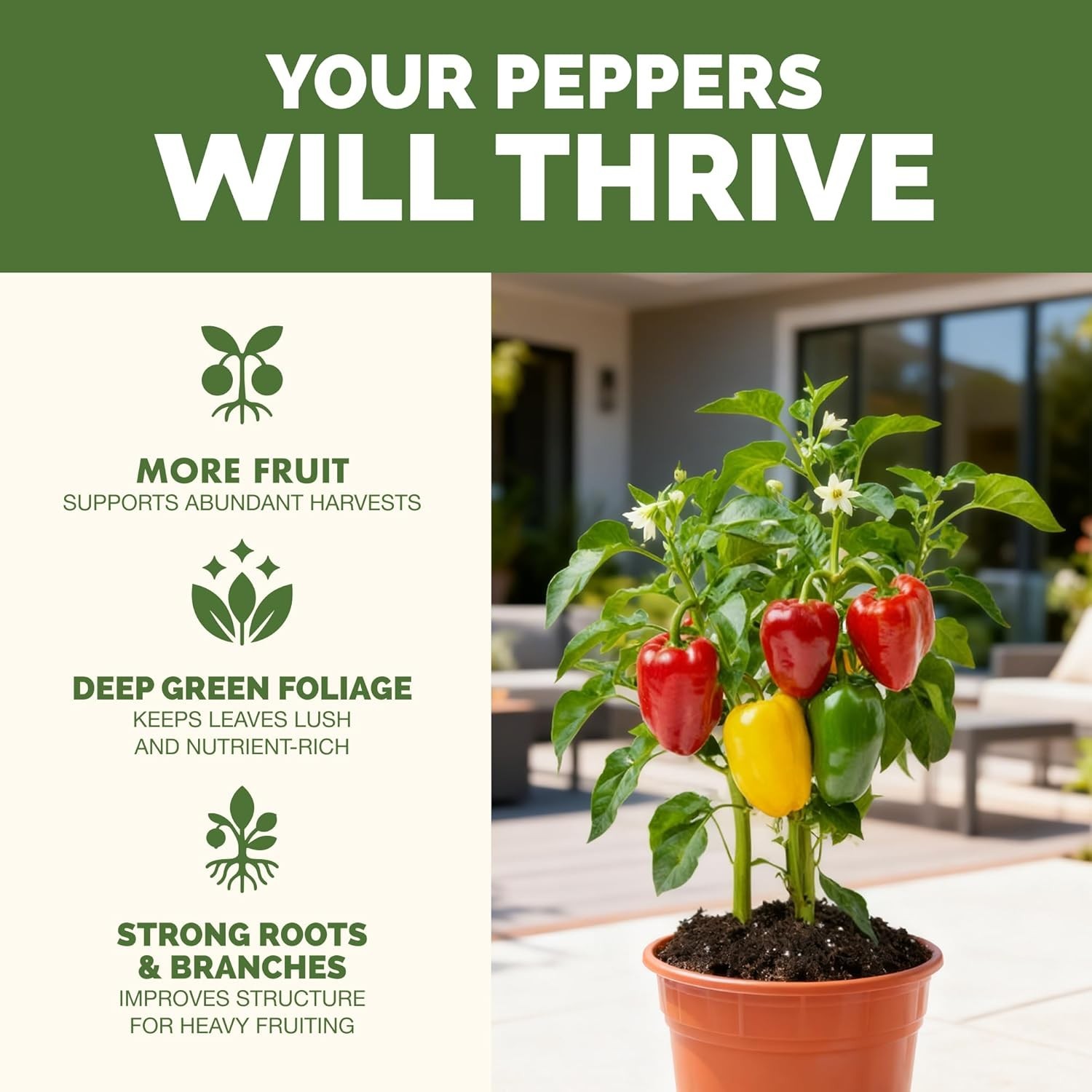 Pepper Fertilizer – Liquid Plant Food for Bigger Harvests, 8 oz | Supports Bl…