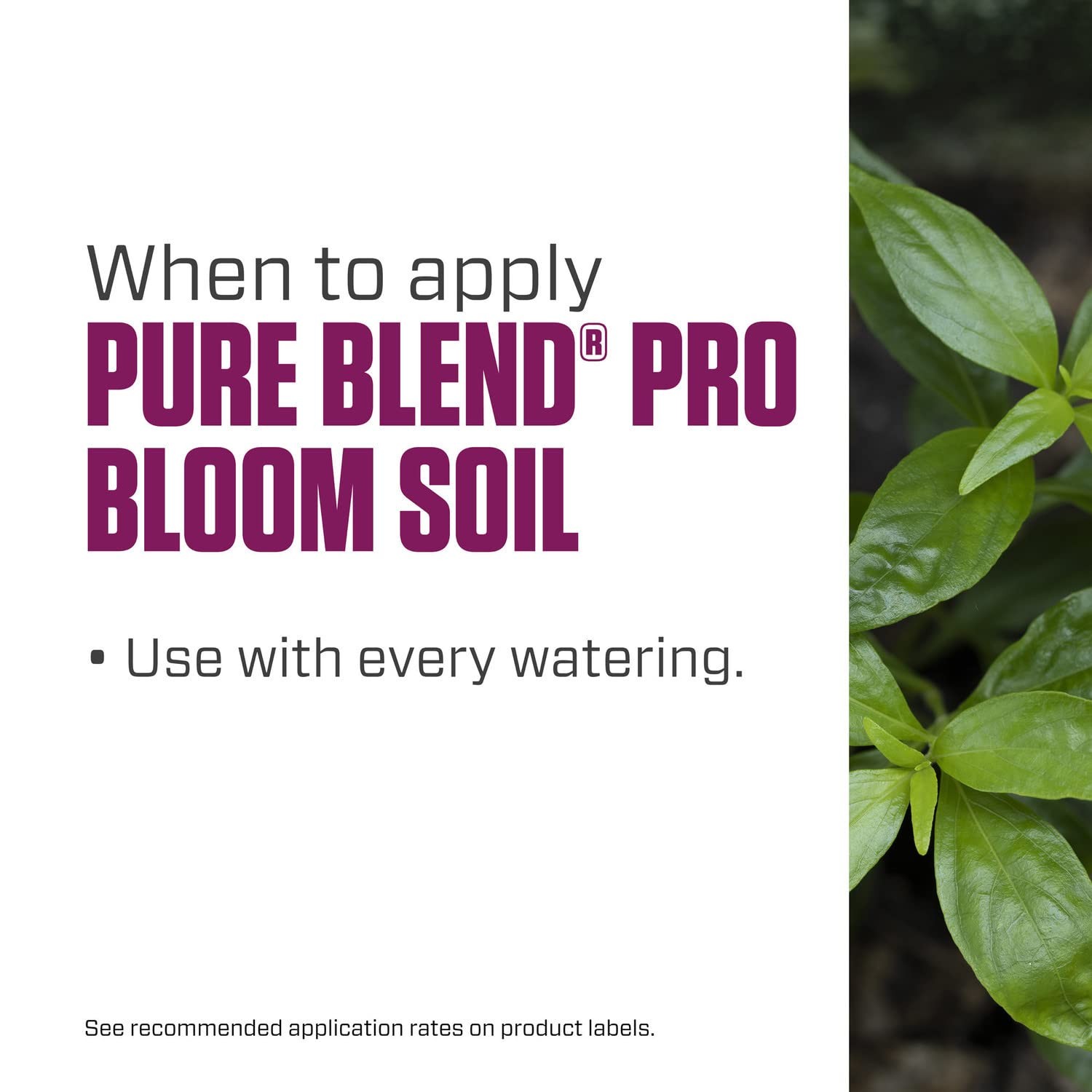 Botanicare Pure Blend Pro Bloom Soil, Nutrient for Fruit and Flowers, 1-4-5, 1
