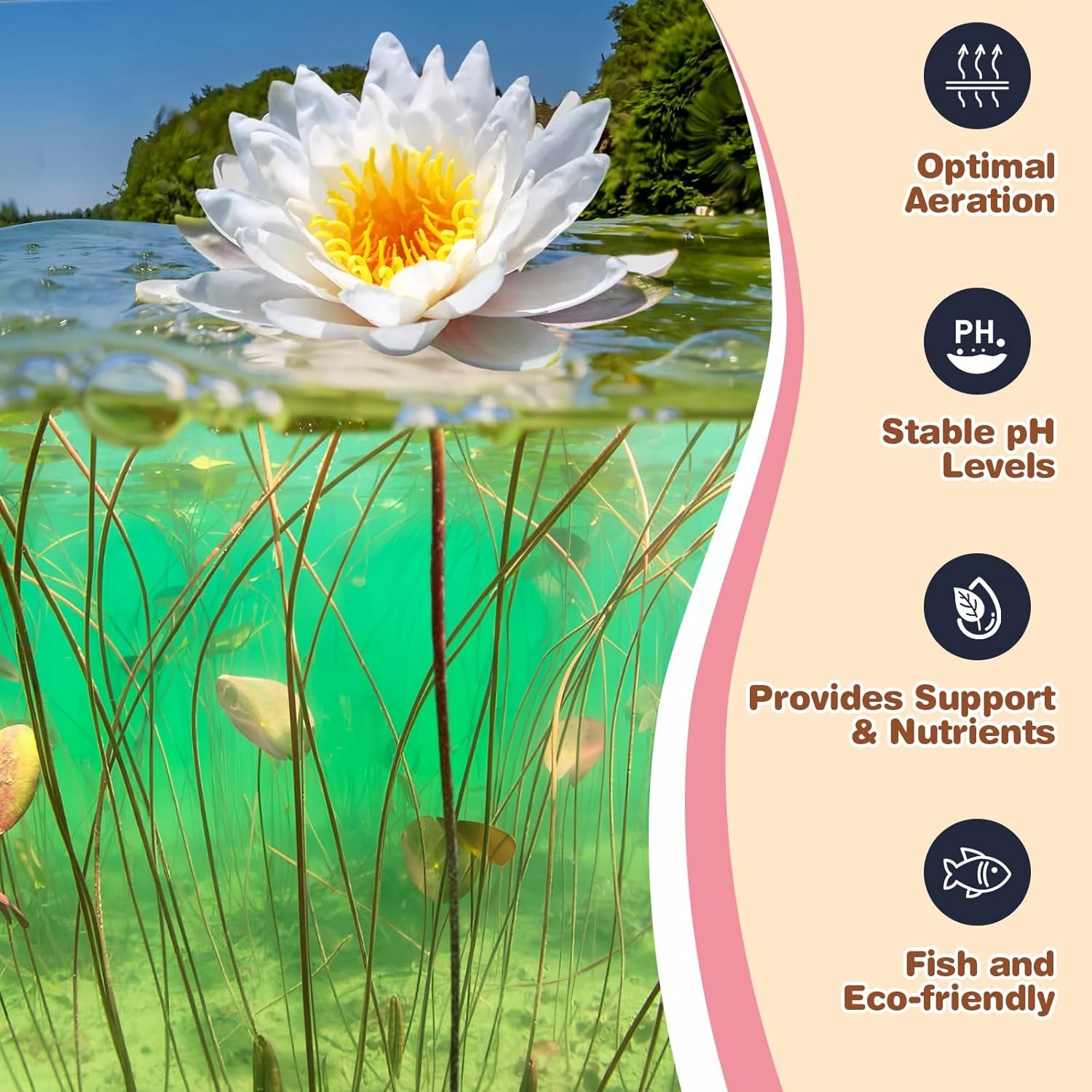 Aquatic Plant Soil & Aquarium Soil, Natural Organic Substrate for Water Plants –