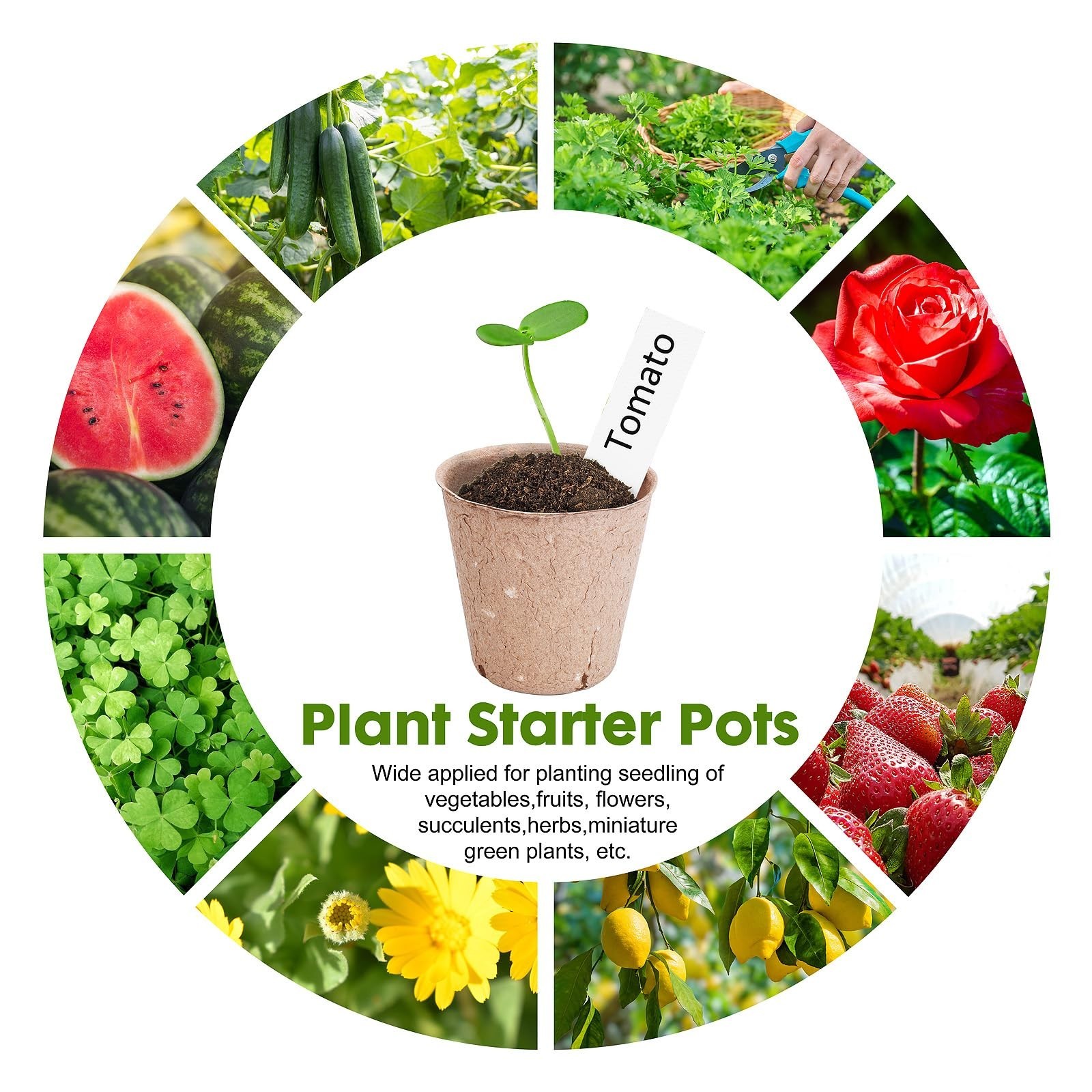 Peat Pots for Seedlings 3.15 Inch, Biodegradable Round Seed Starter Pots with…