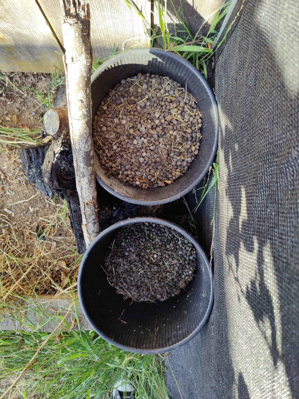 Rabbit Manure Fertilizer – Rabbit Poop Pellets