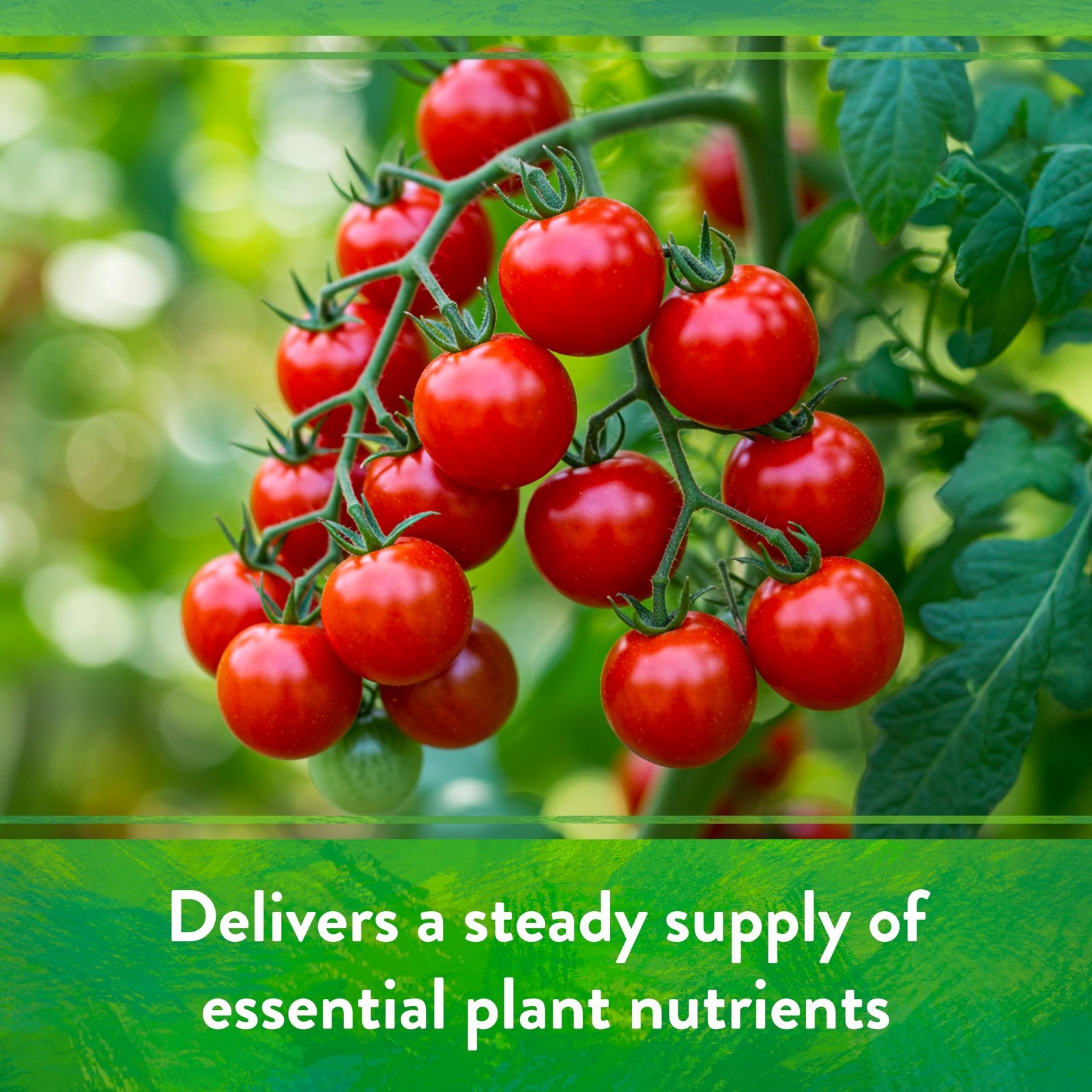 Organic All-Purpose Fertilizer 4-6-2, 15 lb – Natural Plant Food for Vegetables,