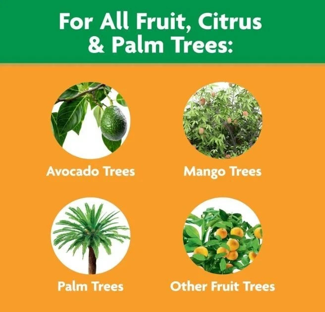 Miracle-Gro Fruit & Citrus Plant Food Spikes 12 per Pack, Free Shipping
