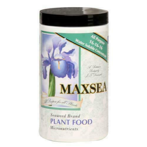 Maxsea All Purpose 16-16-16 Hydroponic Nutrient Fertilizer, 1.5 Lb