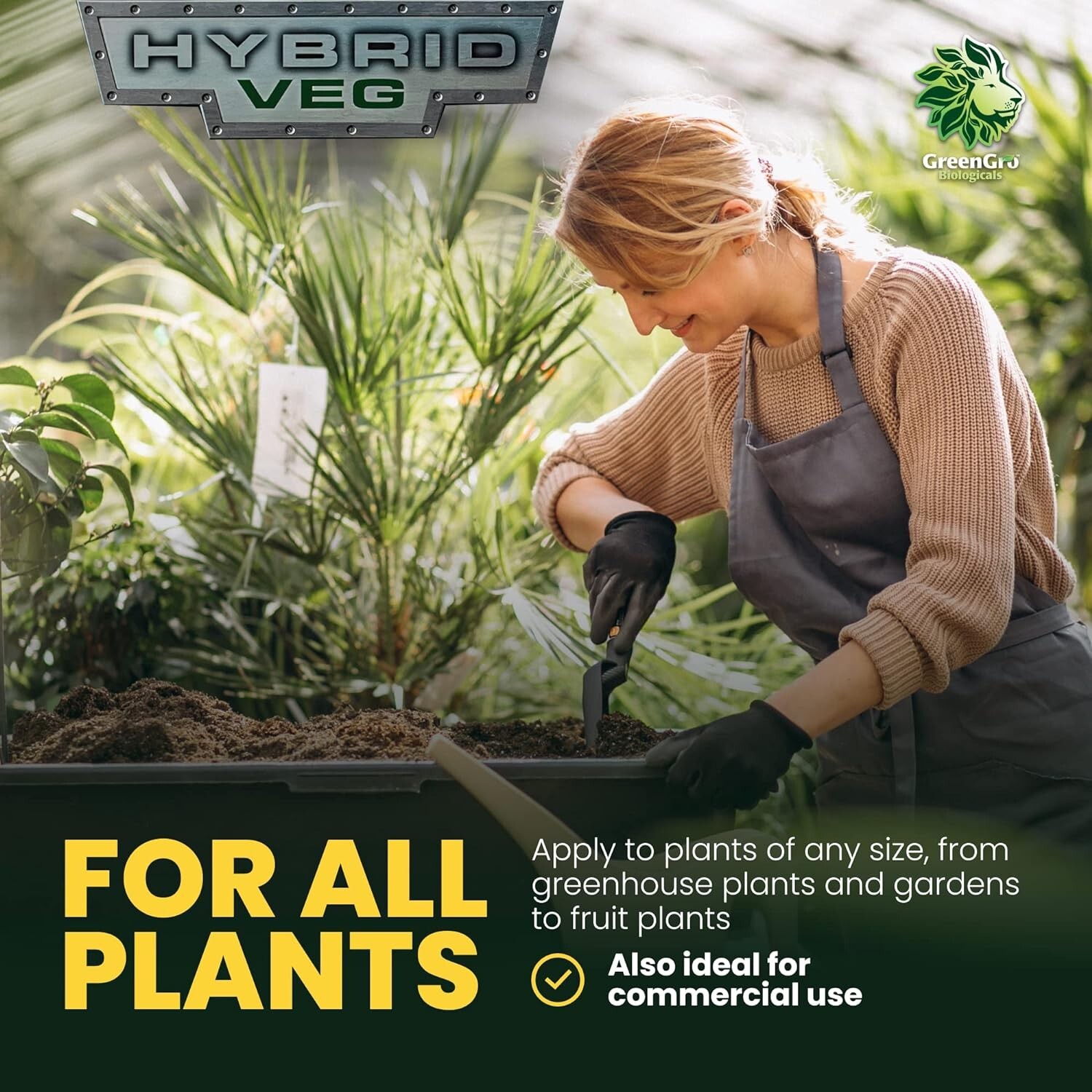 Hybrid Veg 12-12-12 6 lbs All Purpose Fertilizer by GreenGro Biologicals