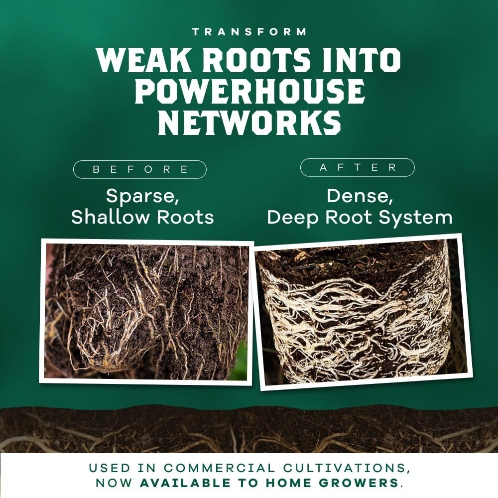 Concentrated Mycorrhizal Fungi Granules, 340g – Root Growth & Stress Protection