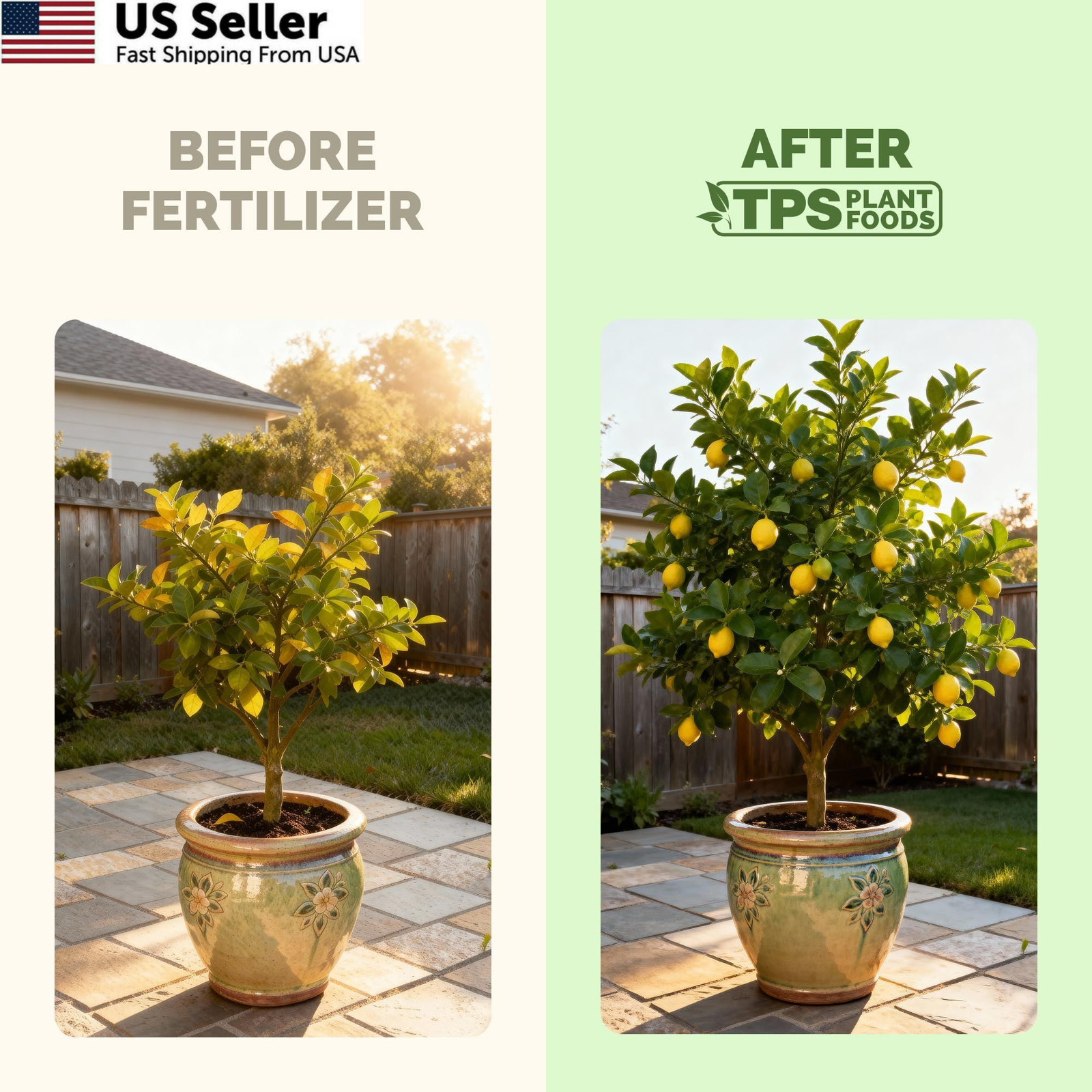 Lemon Tree Fertilizer Liquid Plant Food Fruit Flowering Root Development 8oz USA