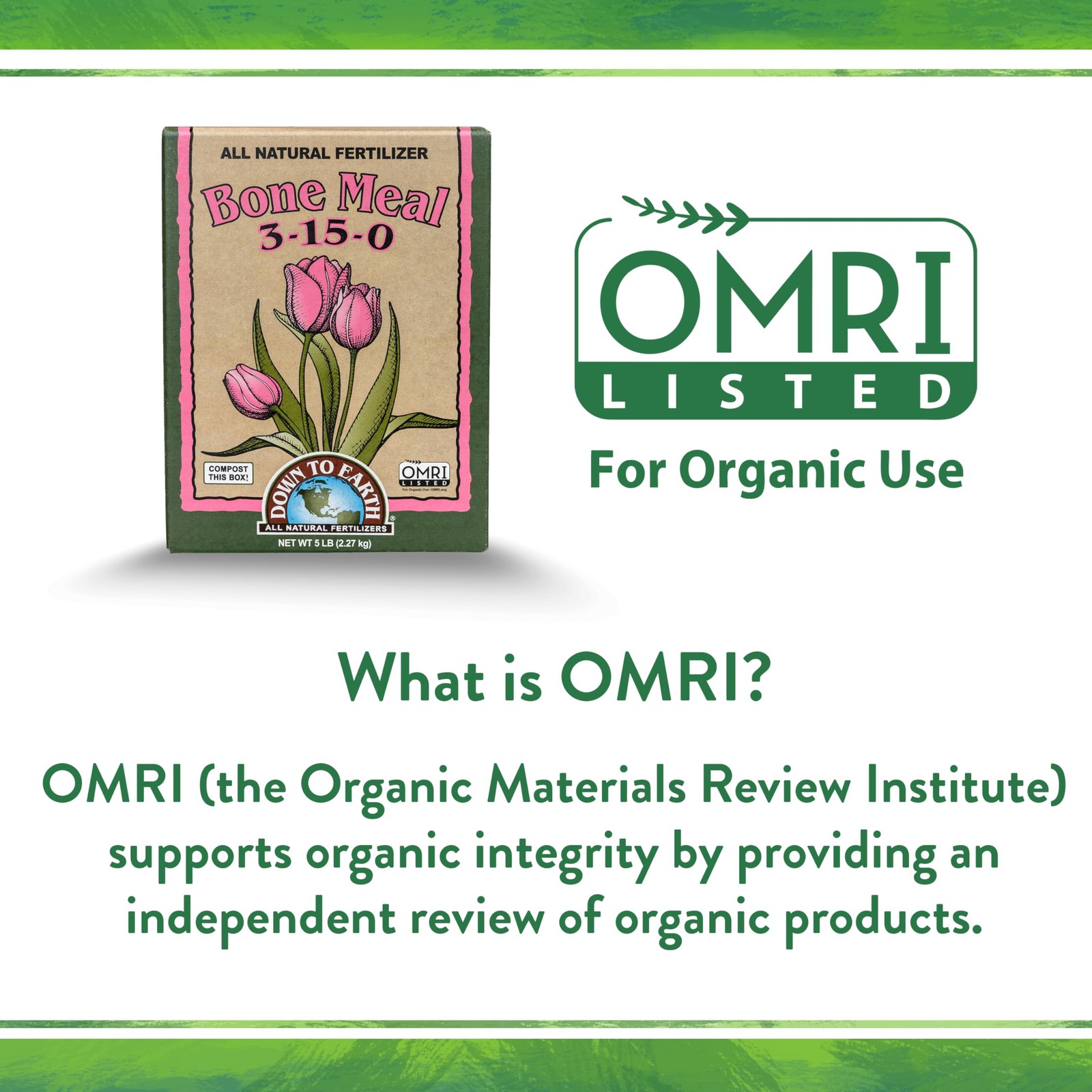 Organic Bone Meal – High Phosphorus Plant Food for Buds, Bulbs, Blooms, Flowe…
