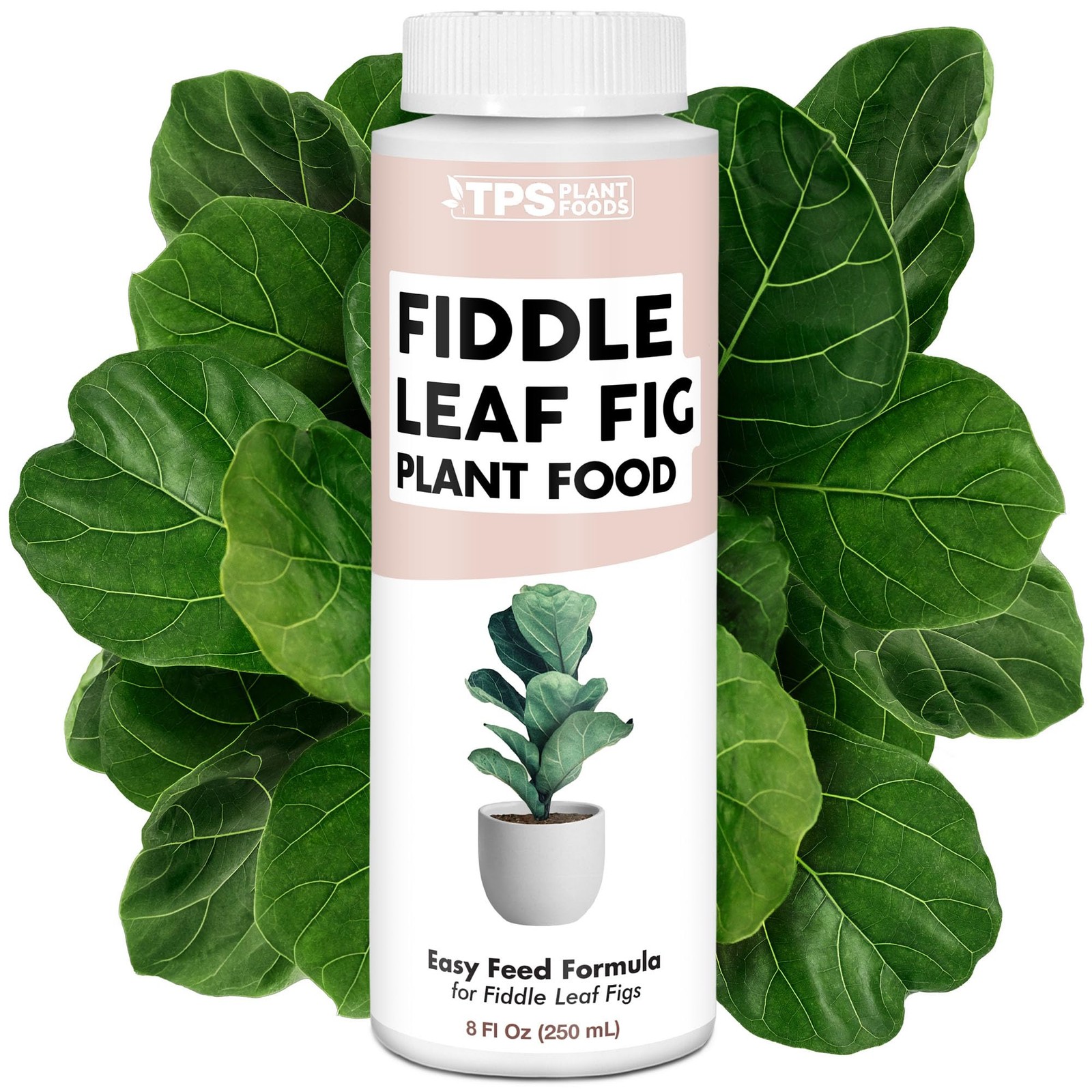 Fiddle Leaf Fig Plant Food for All Fig and Other Ficus Trees, Liquid Housepla…