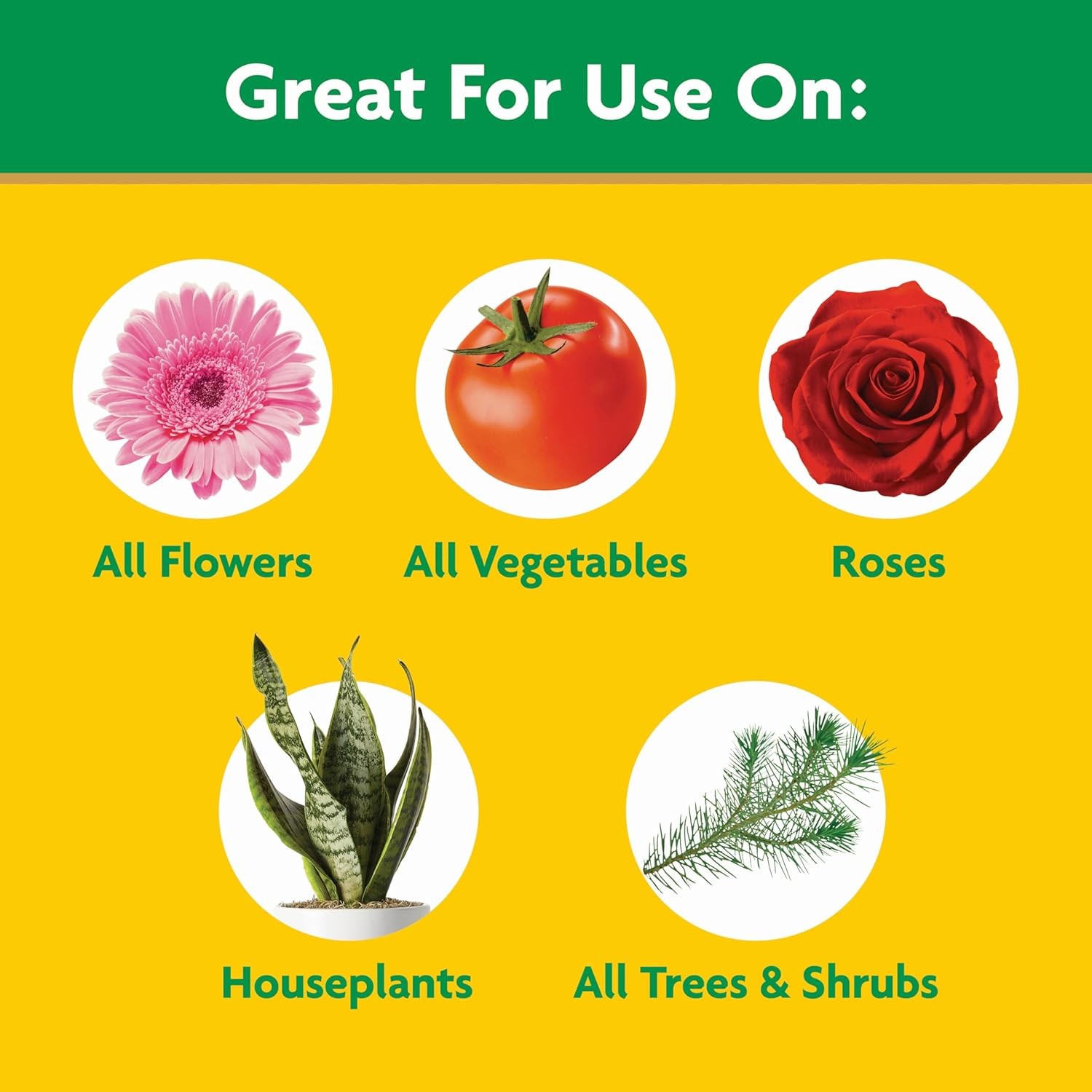 Miracle-Gro Water Soluble All Purpose Plant Food, 1.5 lb. | Fertilizer for All I