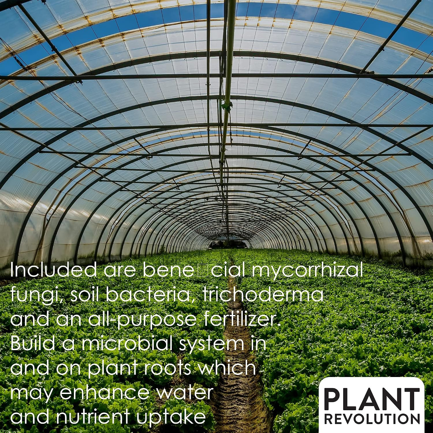 Mycorrhizal Fungi plus Starter Fertilizer for Plants, Plant Success Organics, Ro