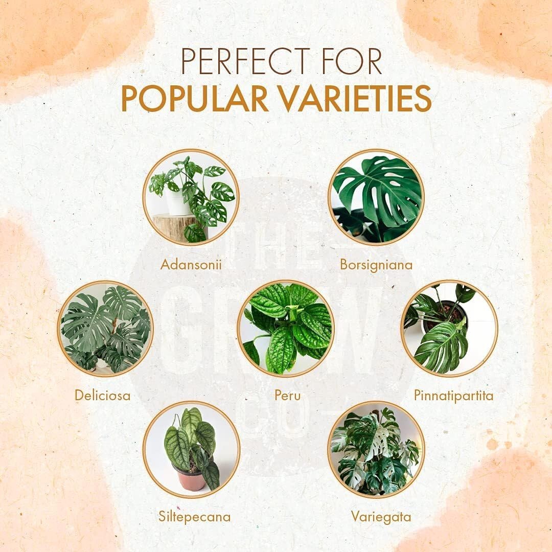 Monstera Plant Food – Organic Liquid Fertilizer for Indoor and Outdoor Monste…