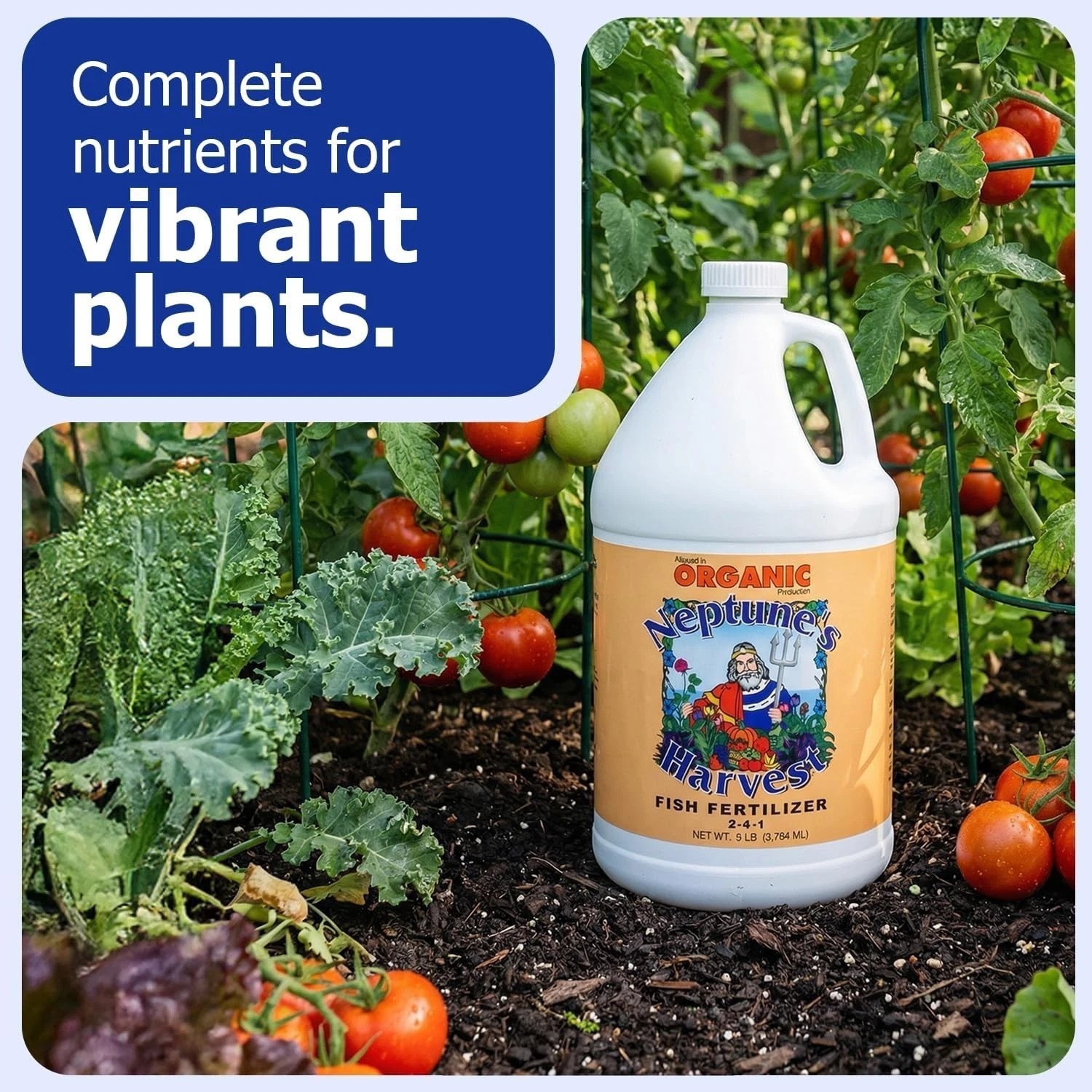 Fish Hydrolysate Fertilizer 2-4-1 – Ideal for Indoor & Outdoor Plants