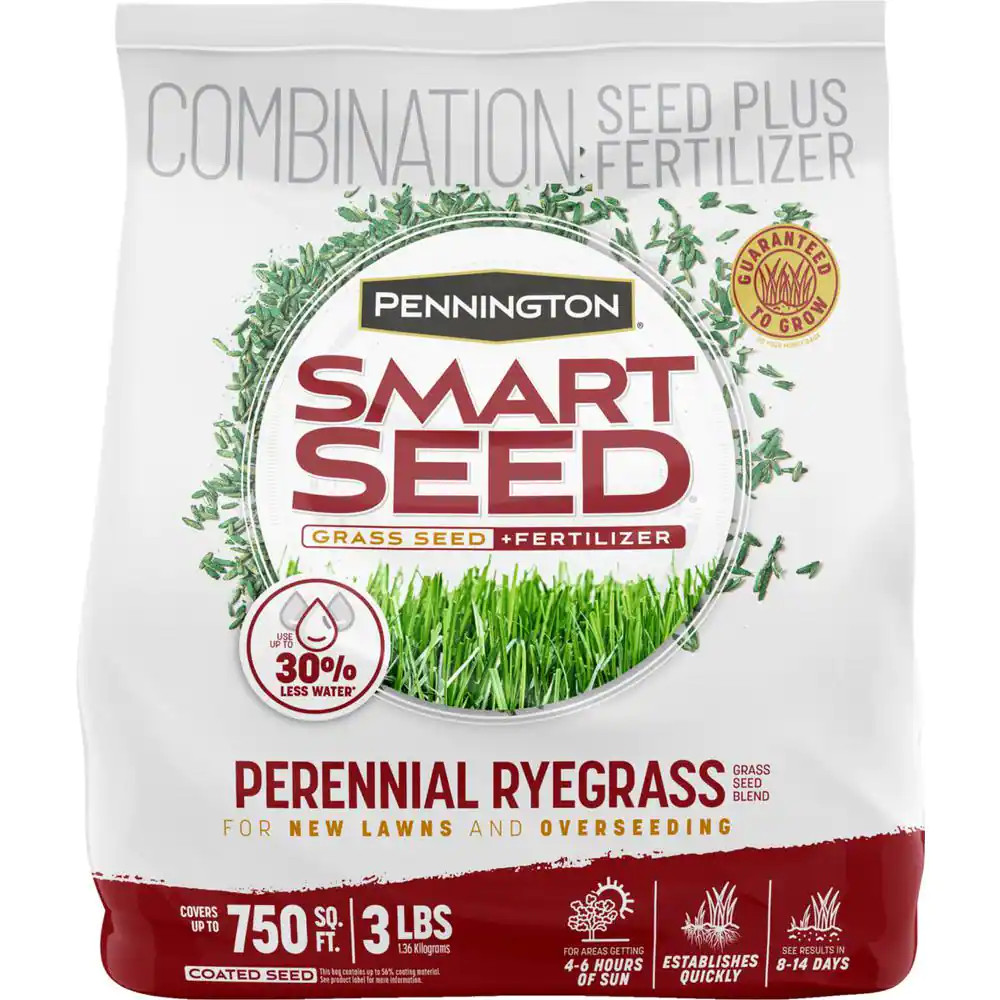 Premium Smart Seed Perennial Ryegrass 3 Lb. for Lush, Green Lawns