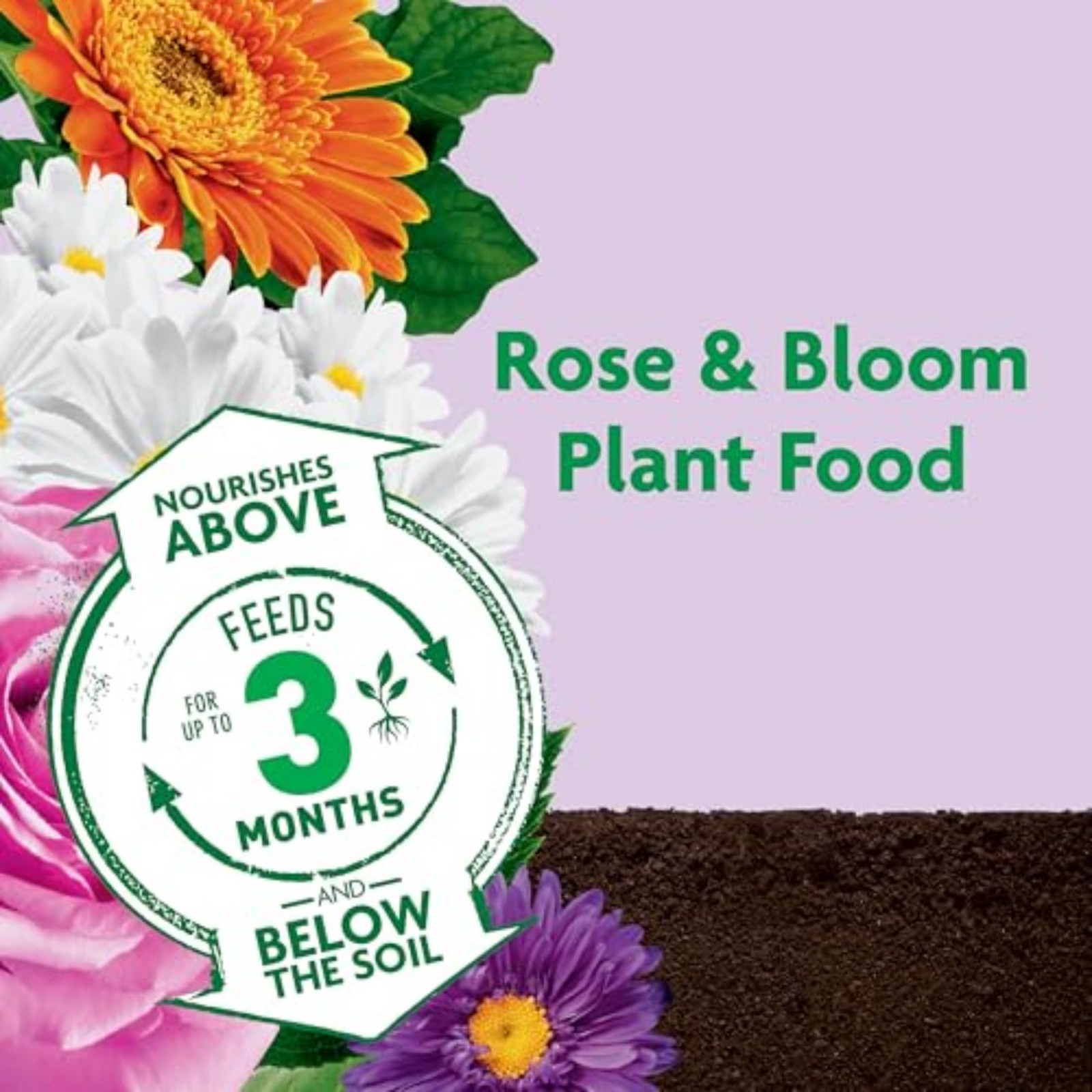 Miracle-Gro Shake ‘n Feed Rose & Bloom Plant Food – Long-Lasting Granular