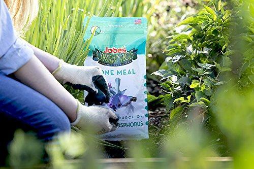 Jobe’s Organics Bone Meal Fertilizer, 4 lb