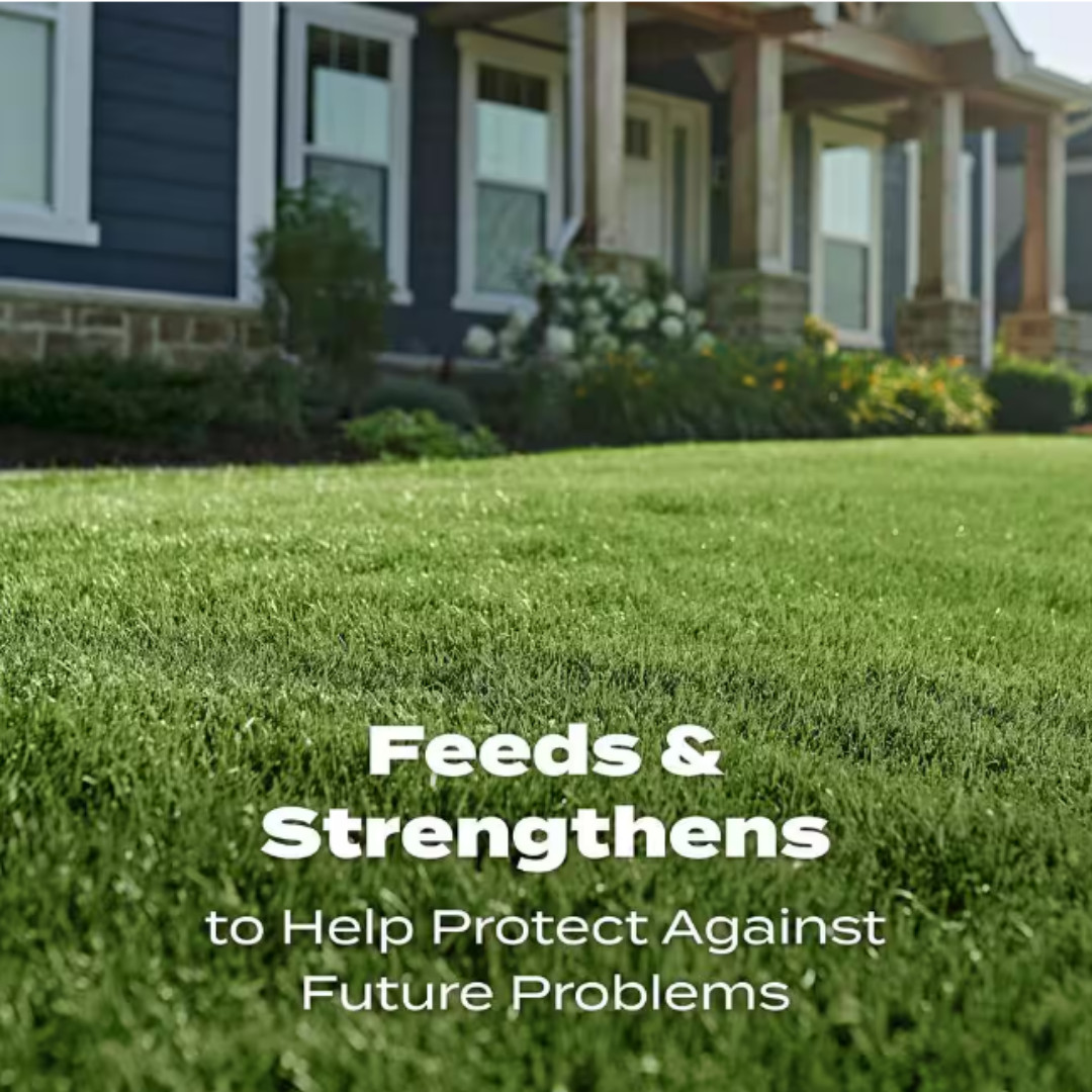Turf Builder 37.5 lbs. 15,000 sq. ft. Dry Lawn Fertilizer for All Grass Types