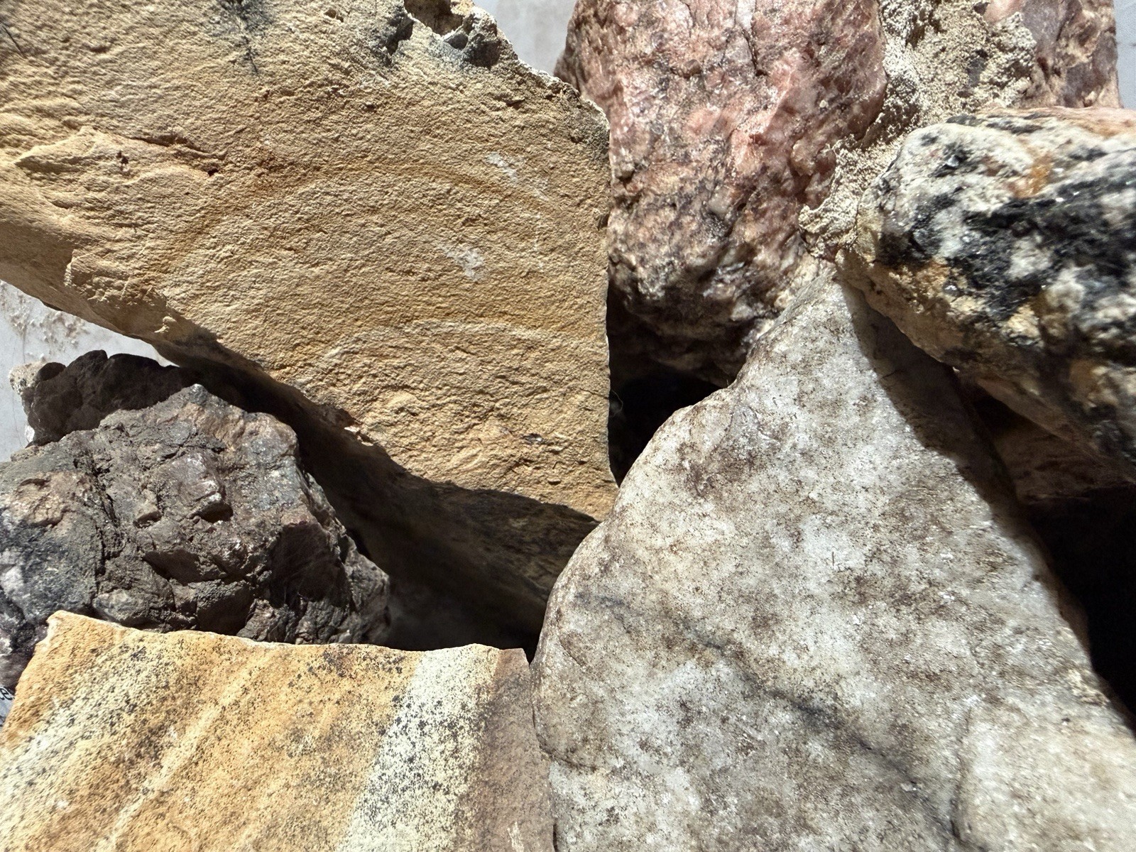 Crushed Rock For Cacti Mountain Cactus Raw Host Rock For Native Spps Blend 3LB