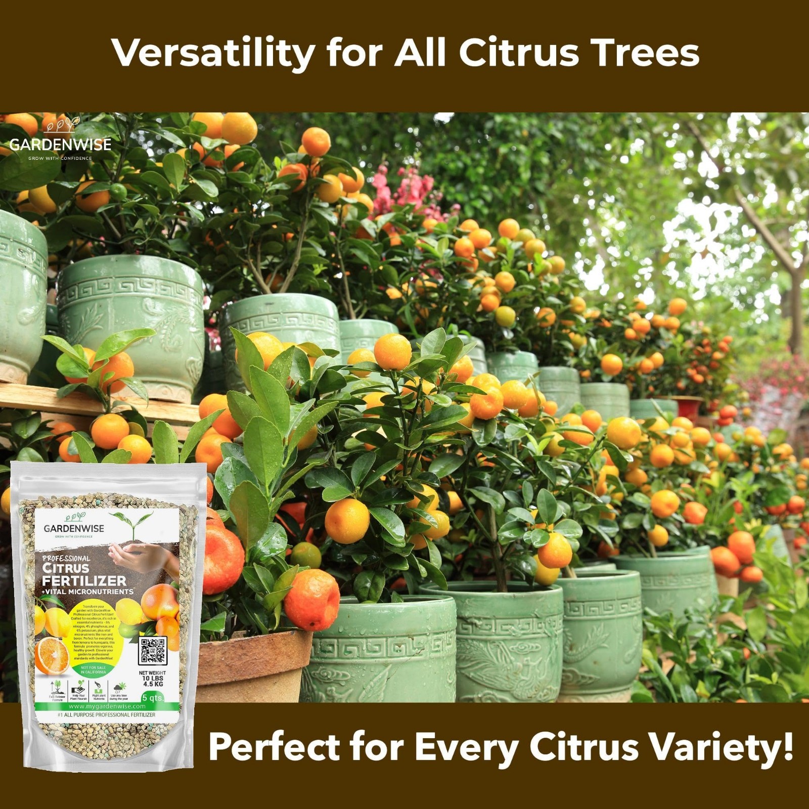Citrus Fertilizer with Micronutrients – Balanced NPK for Indoor & Outdoor Plants