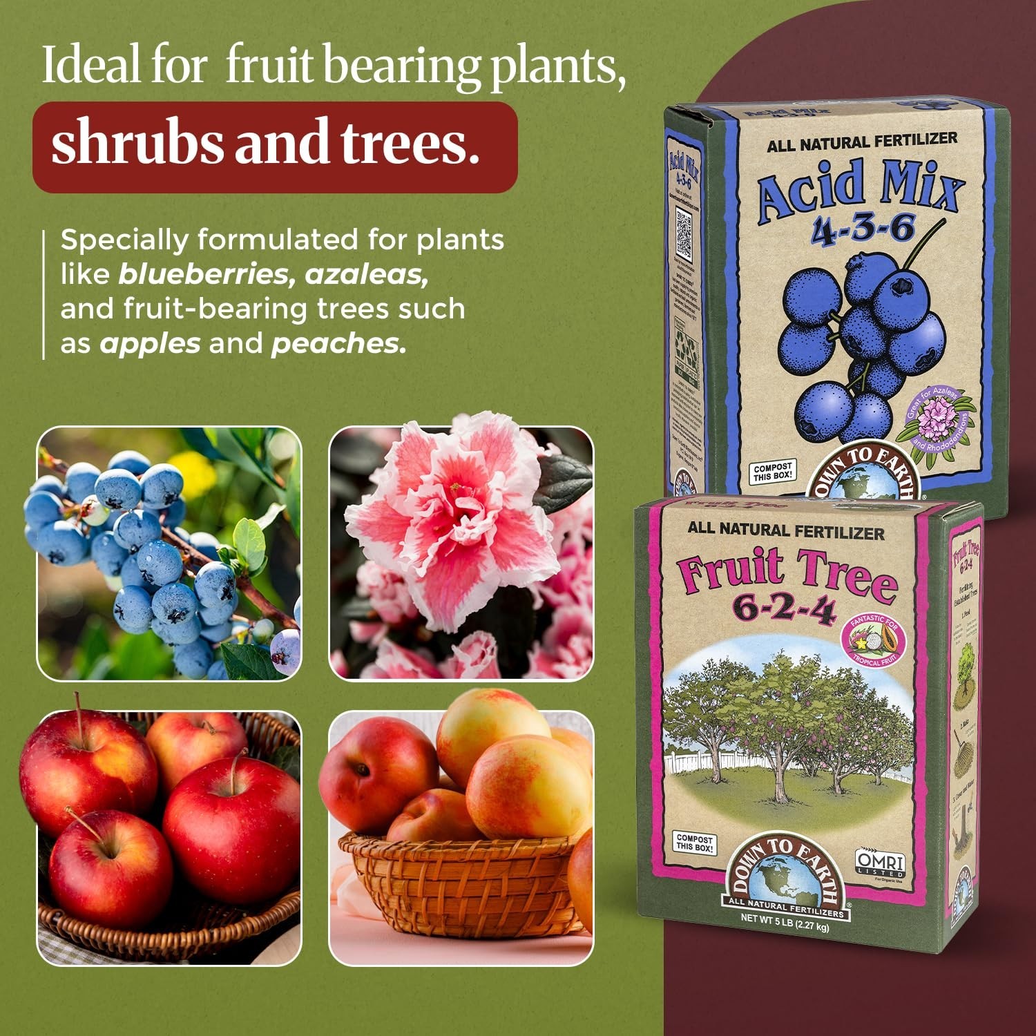 Organic Acid Mix & Fruit Tree Fertilizer Bundle 5lb Each Acid-Loving Plants
