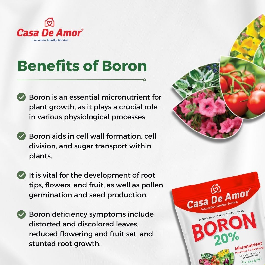 Boron 20% Micronutrient Fertilizer 100g Water Soluble Plant Food Foliar Spray
