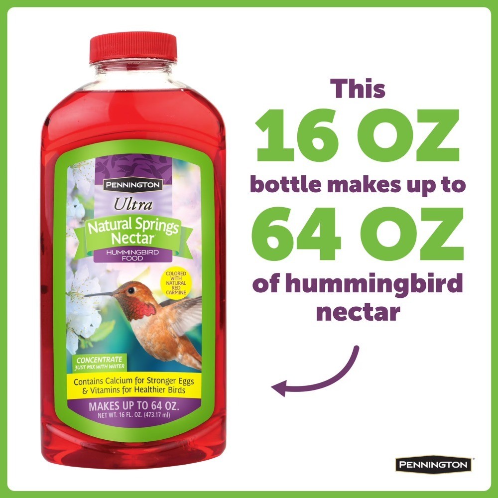 Hummingbird Food Concentrate 16 oz Sweet Liquid No Artificial Dye All