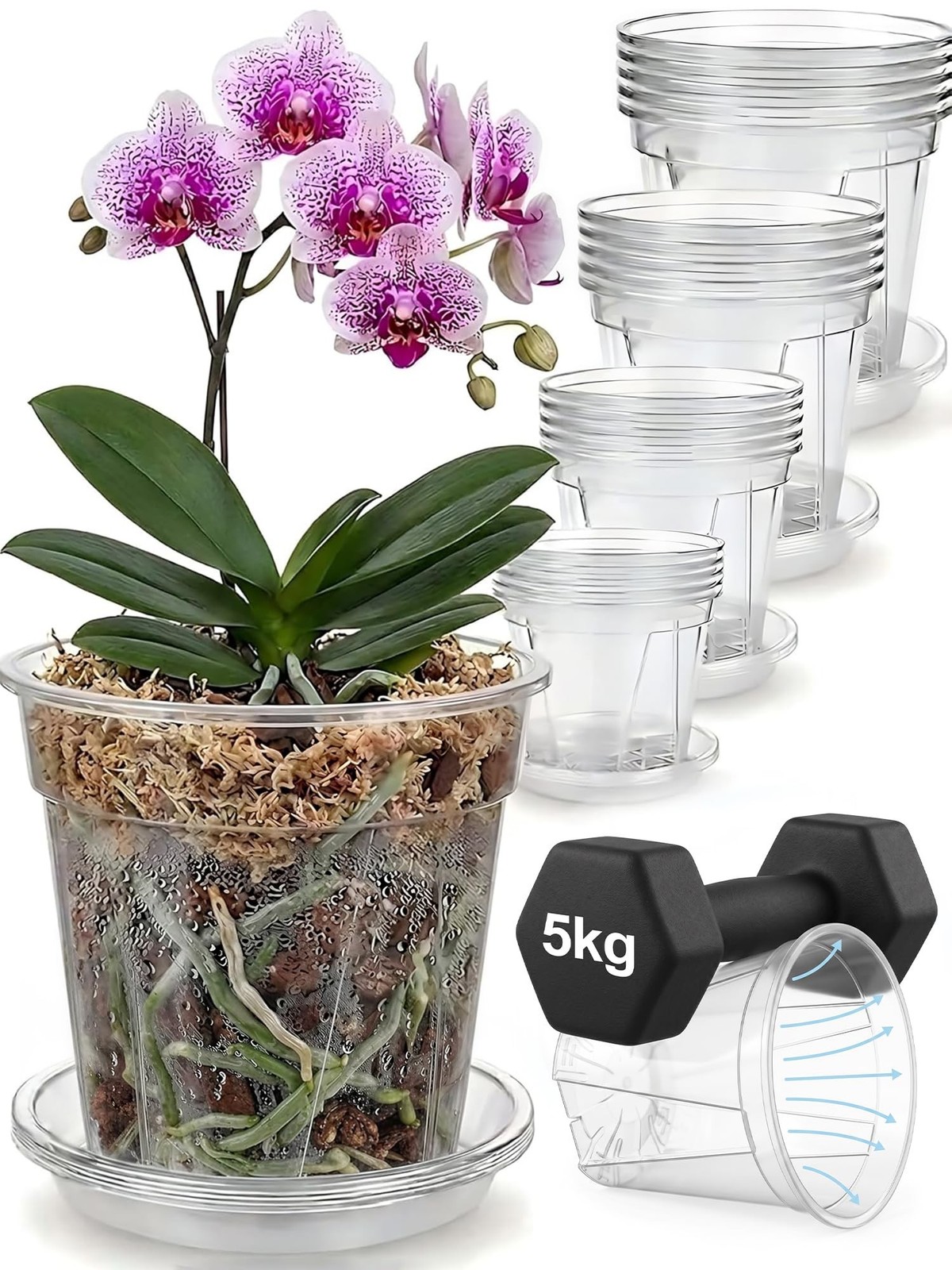 Root-Safe Clear Plant Pots for Indoor: Zero Transplant Shock for Orchids | 1K…