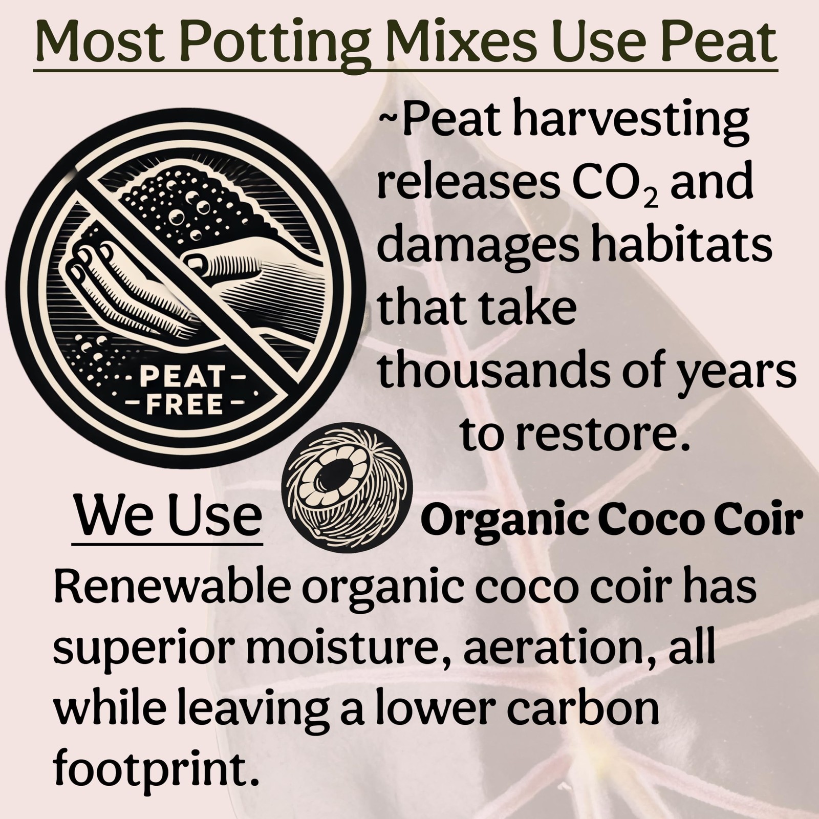 Craft Houseplant Potting Mix, Elite House Plant Soil, Chunky, Well Draining P…