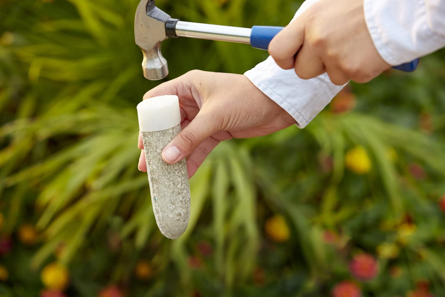 Miracle-Gro Fruit & Citrus Plant Food Spikes, 12 Spikes, 3 Lb. | 10-15-15 NPK