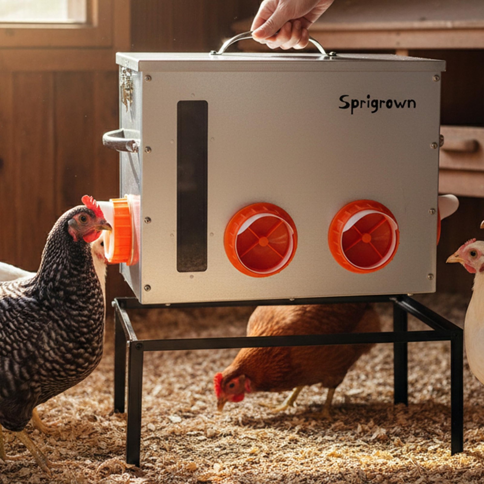 Metal Chicken Feeder 40lb, No Waste Automatic Chicken Feeder with Window, Gal…