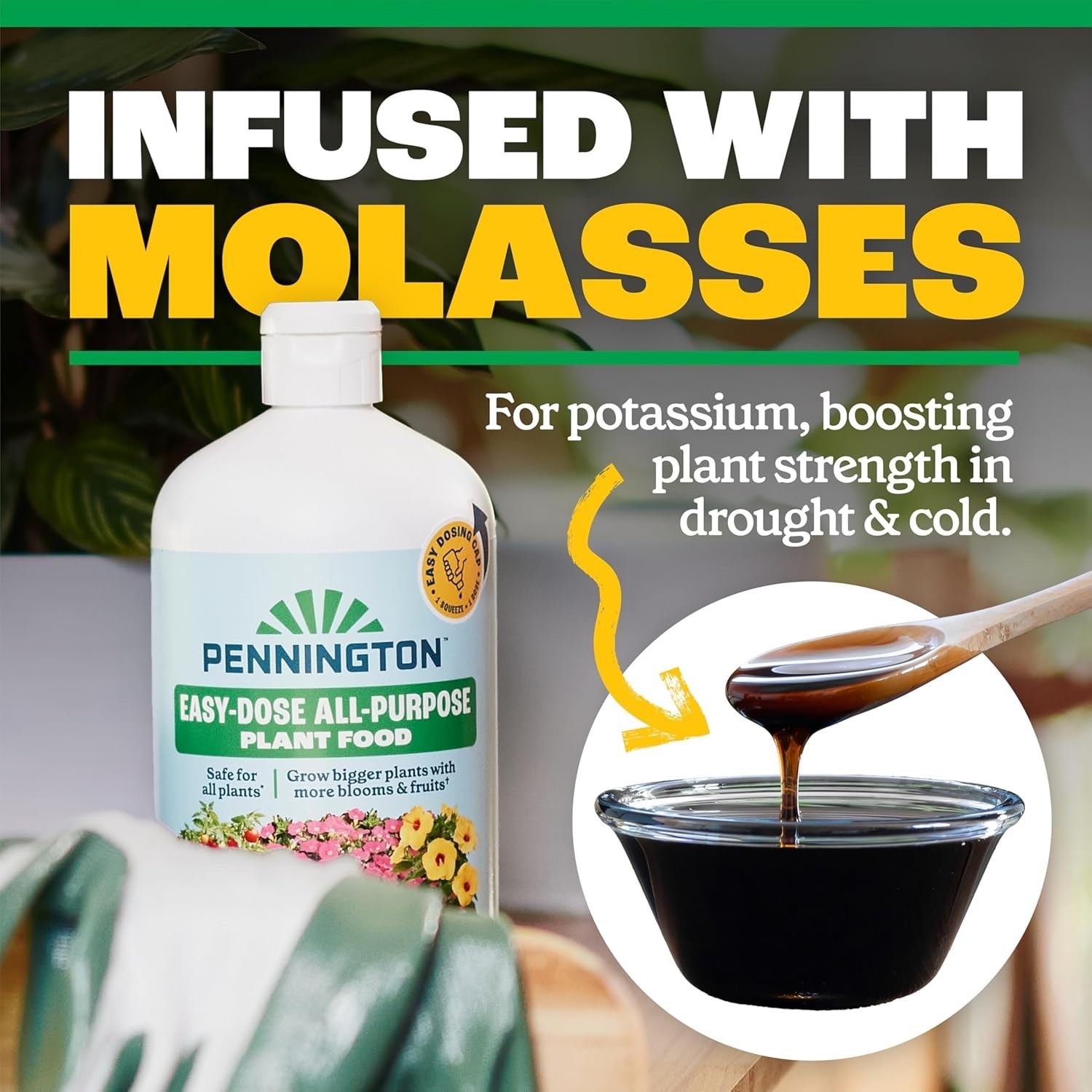 Molasses-Enriched Easy-Dose Plant Food 2-3-2 – Perfect for Indoor Gardening