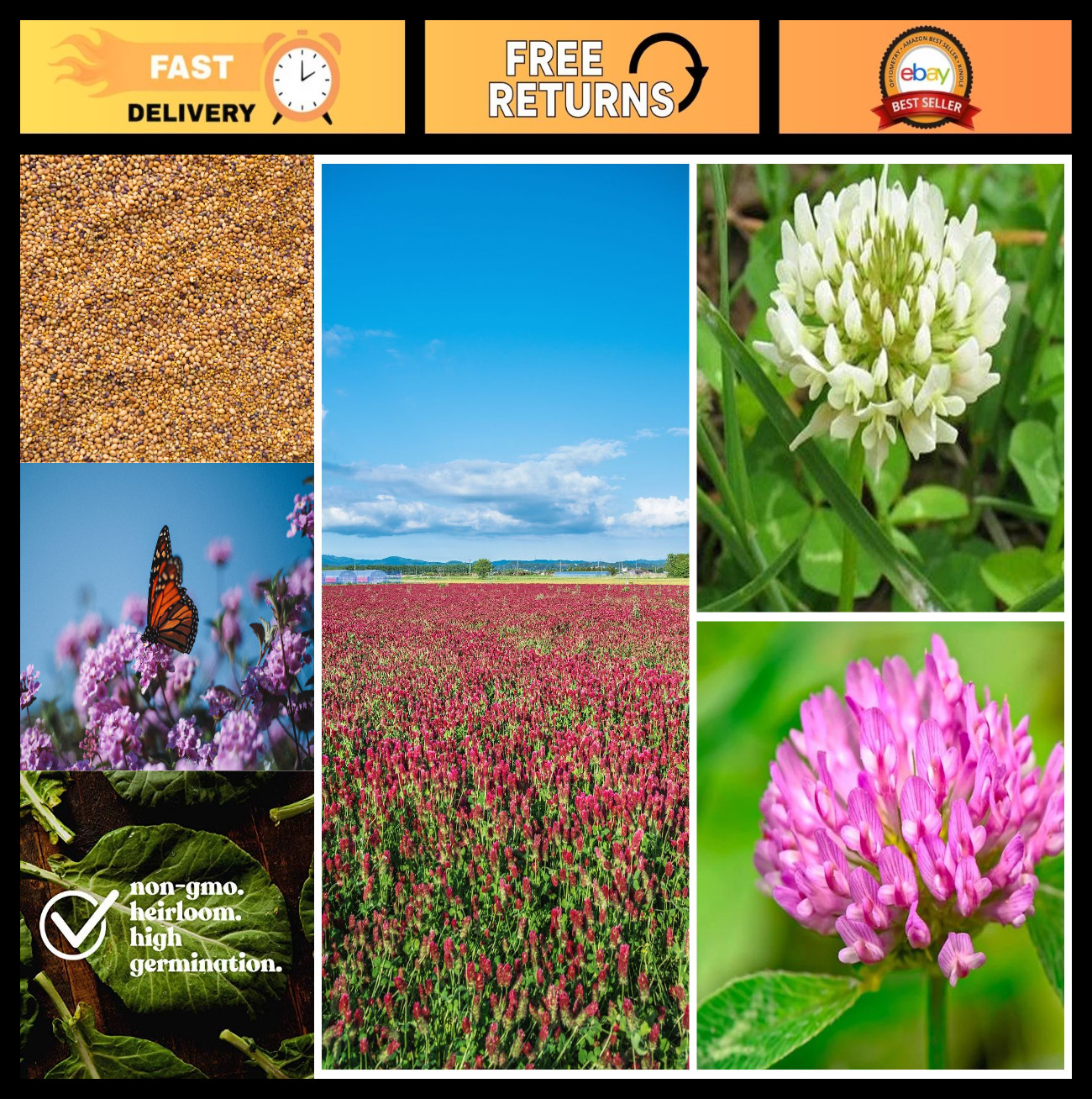 Premium Clover Seed Blend – 1 Lb, 179,200 Seeds – Red, White & Crimson – Soil En