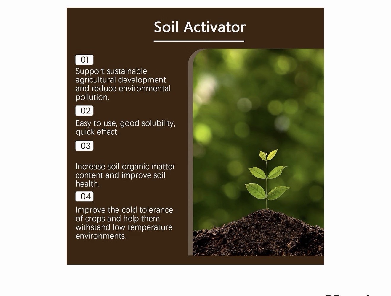 5 Pack Soil Activator for Plants Mineral Source 60g Fertilization Solution