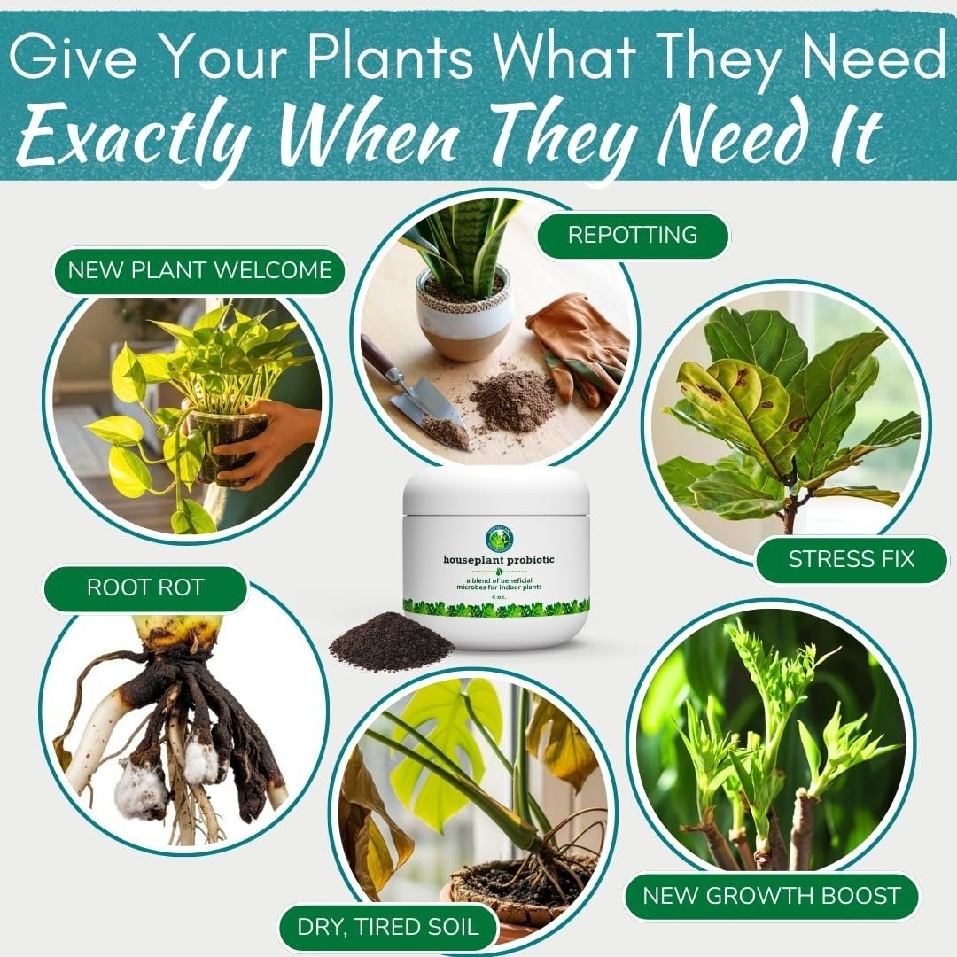 Organic Houseplant Probiotic Powder | Soil Conditioner to Improve Soil…