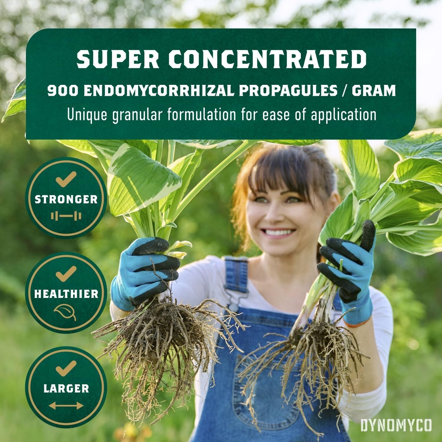 Mycorrhizal Inoculant – 100g Concentrate for Superior Nutrient Uptake & Yields